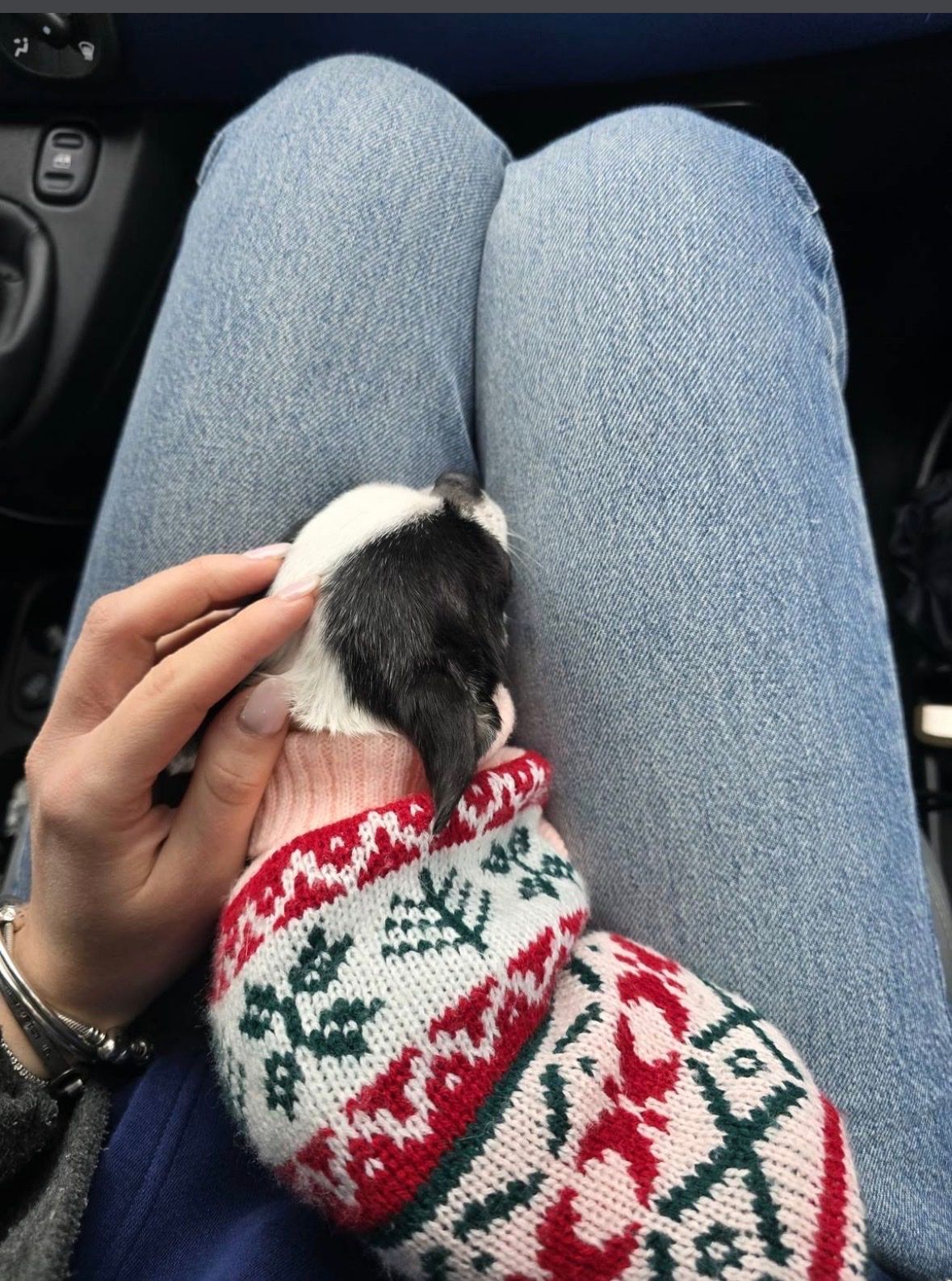 image-7