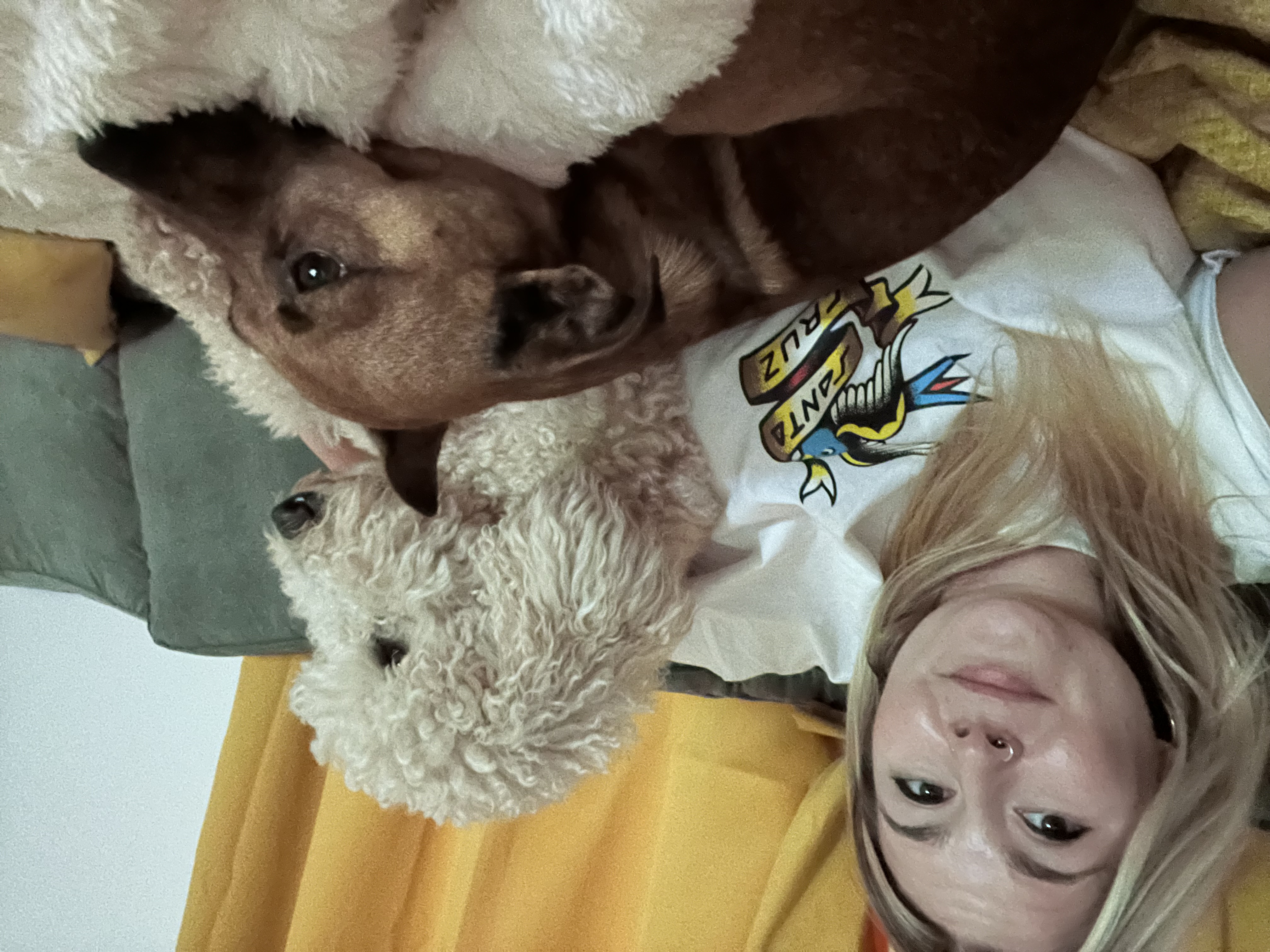 image-8