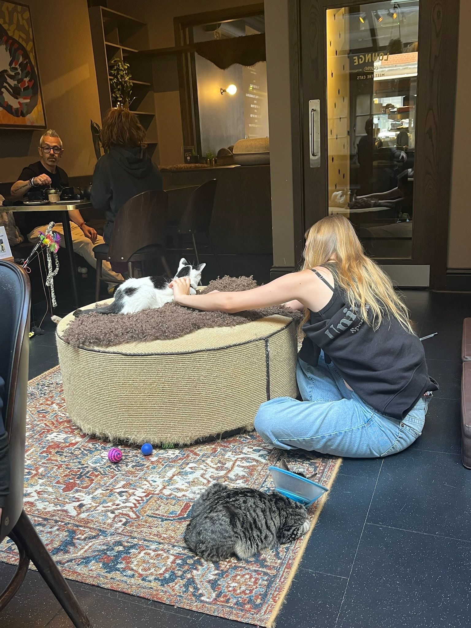 image-7