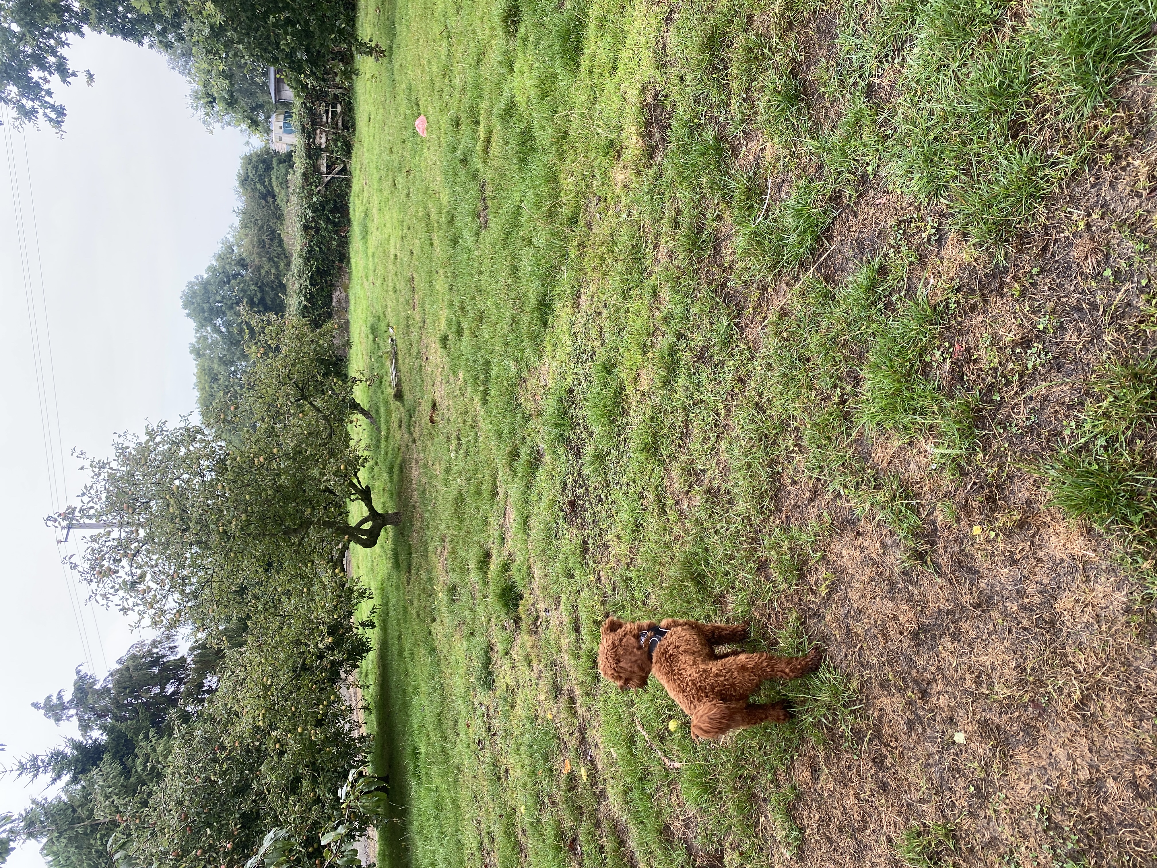 image-14