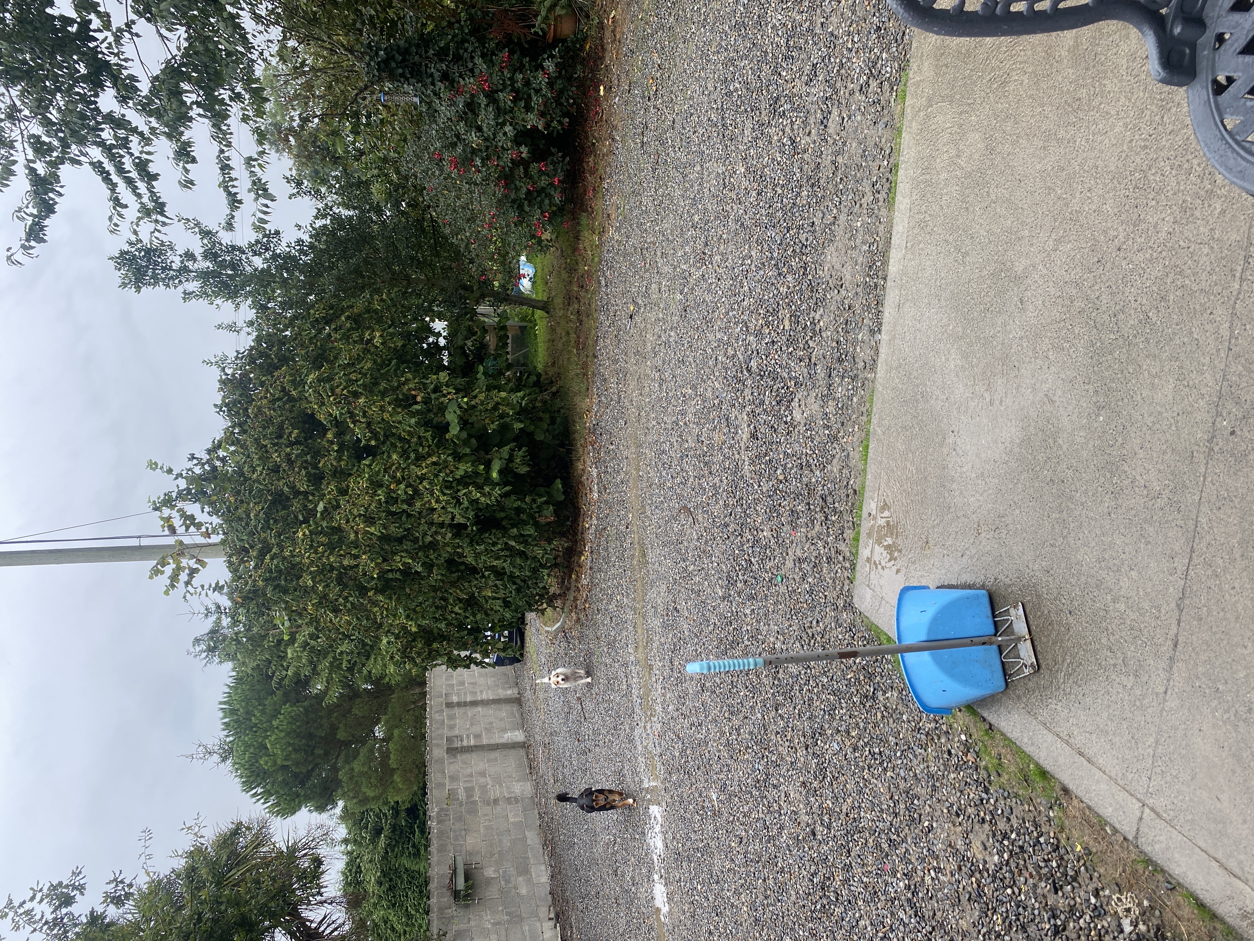 image-16