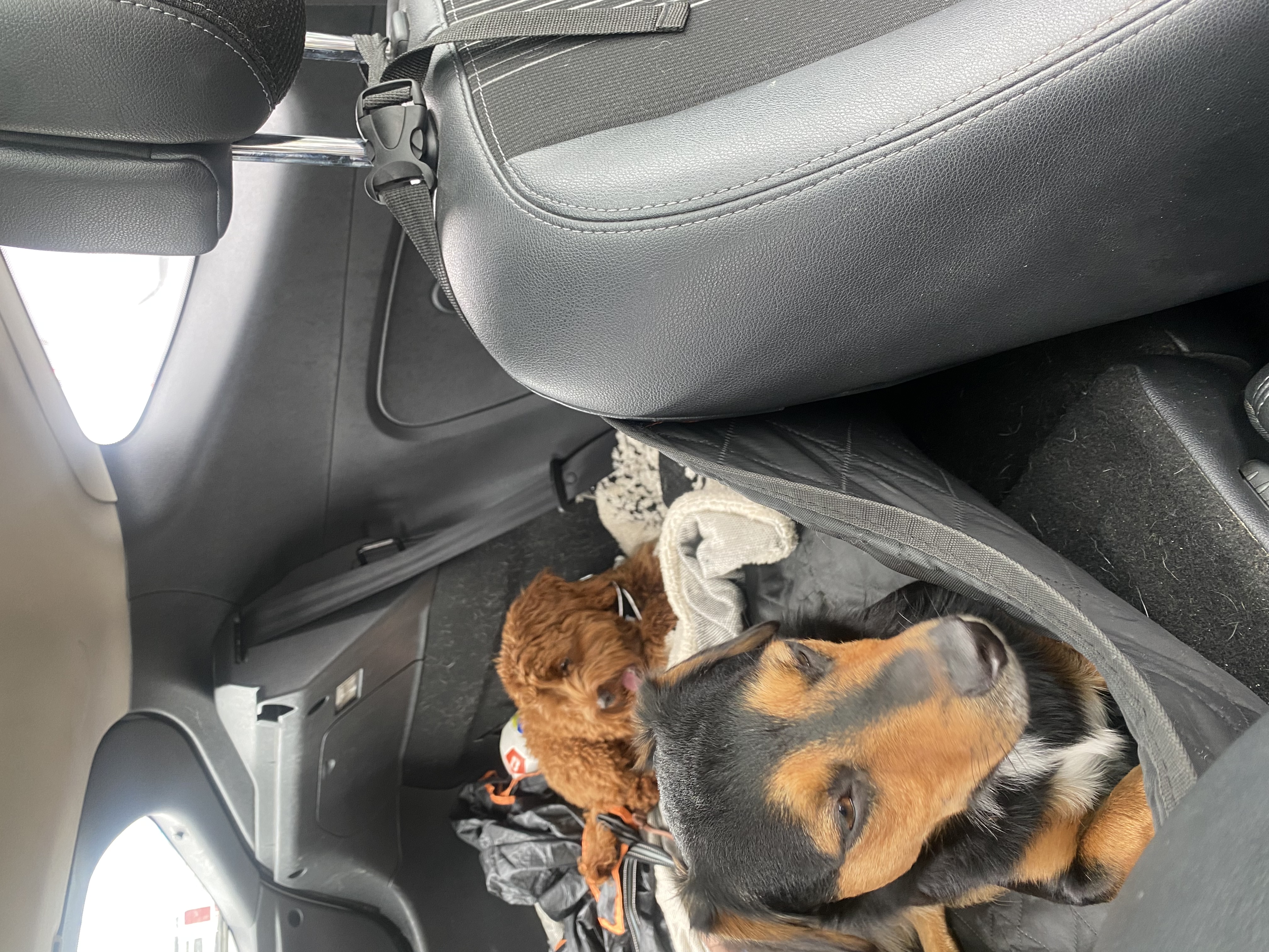 image-6