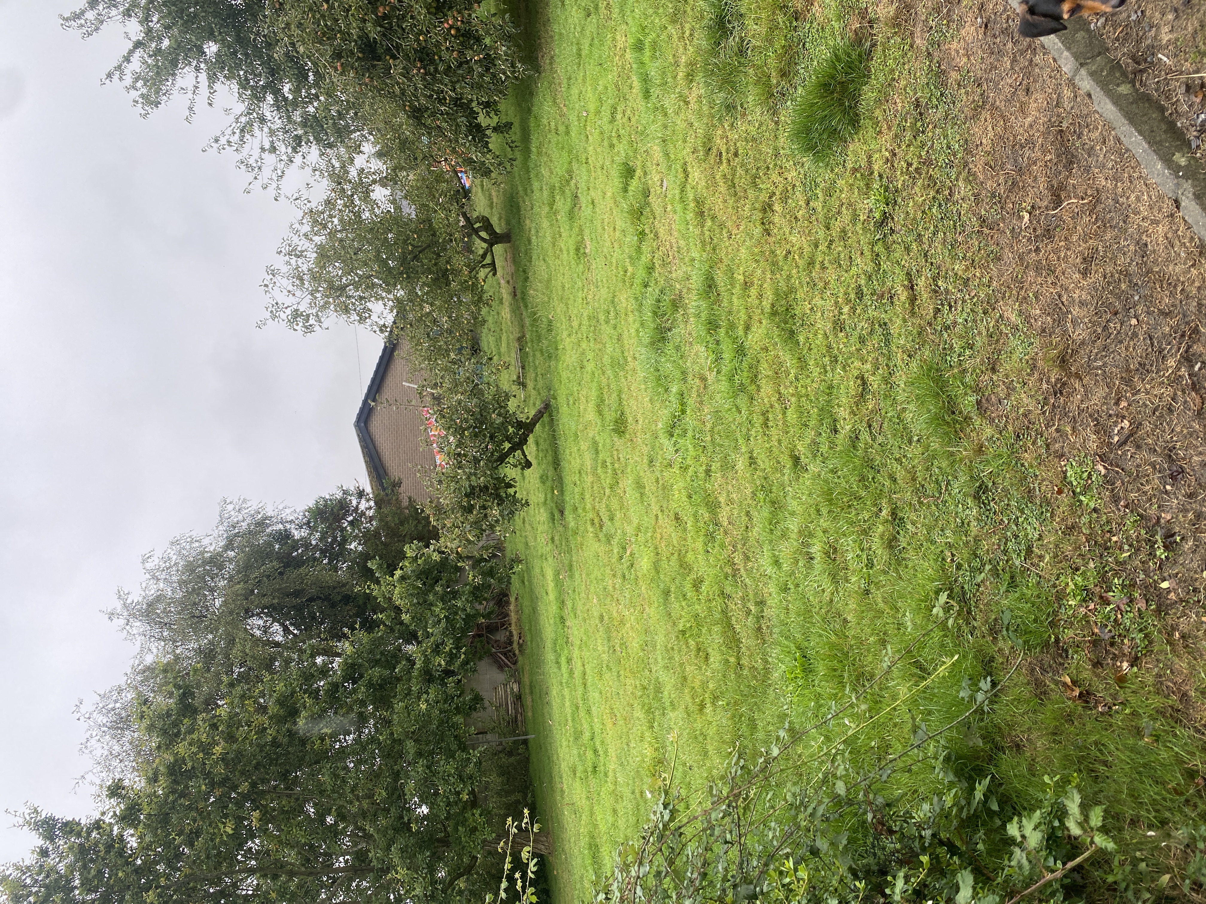 image-15