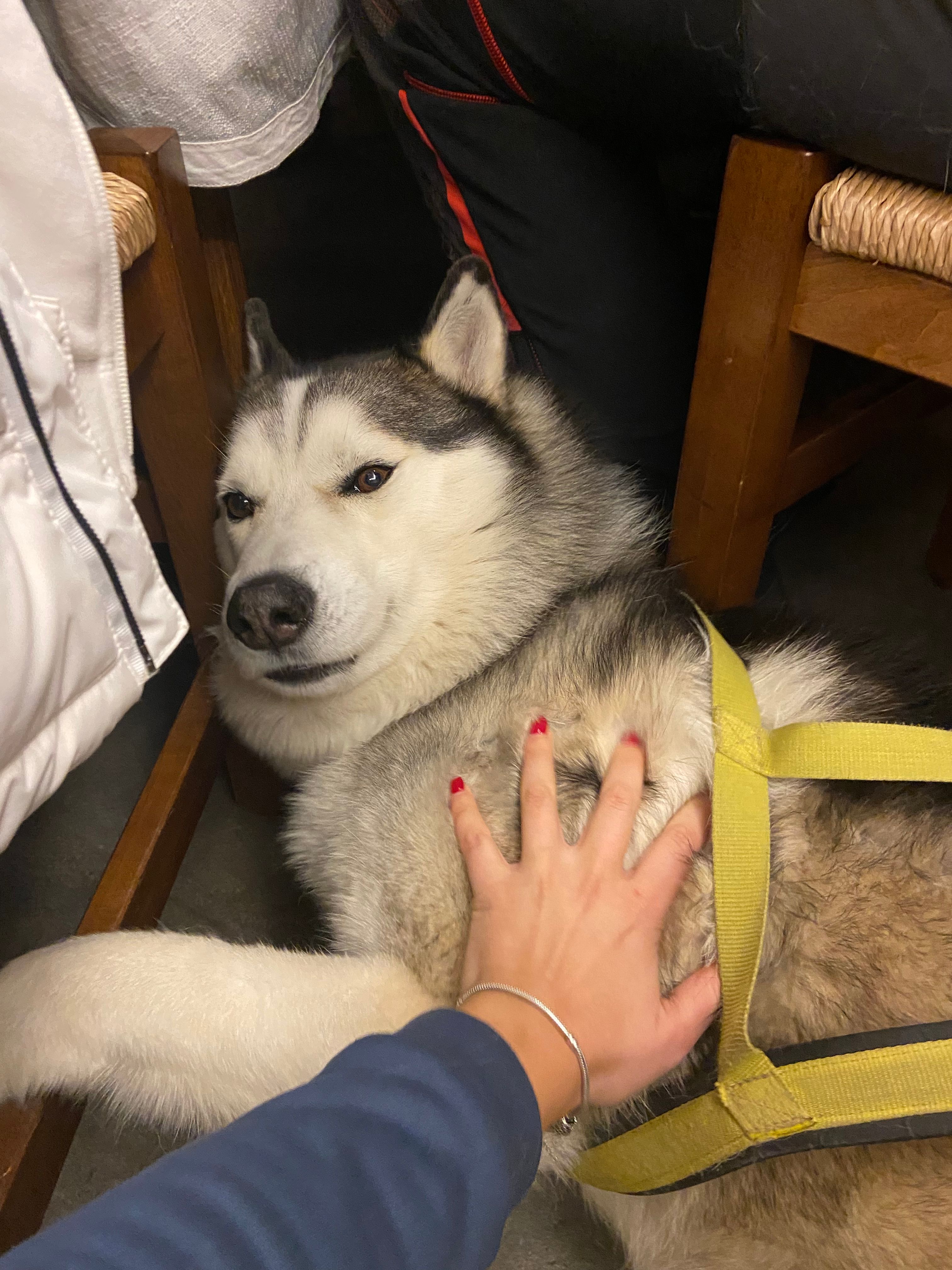 image-7