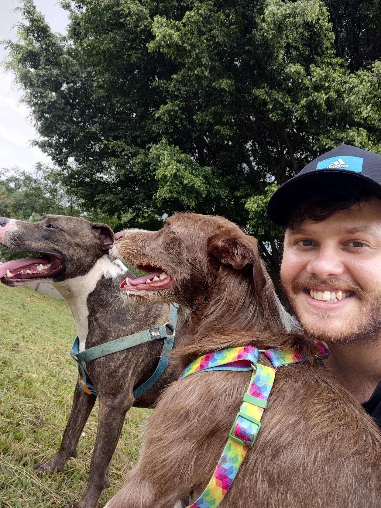 image-0