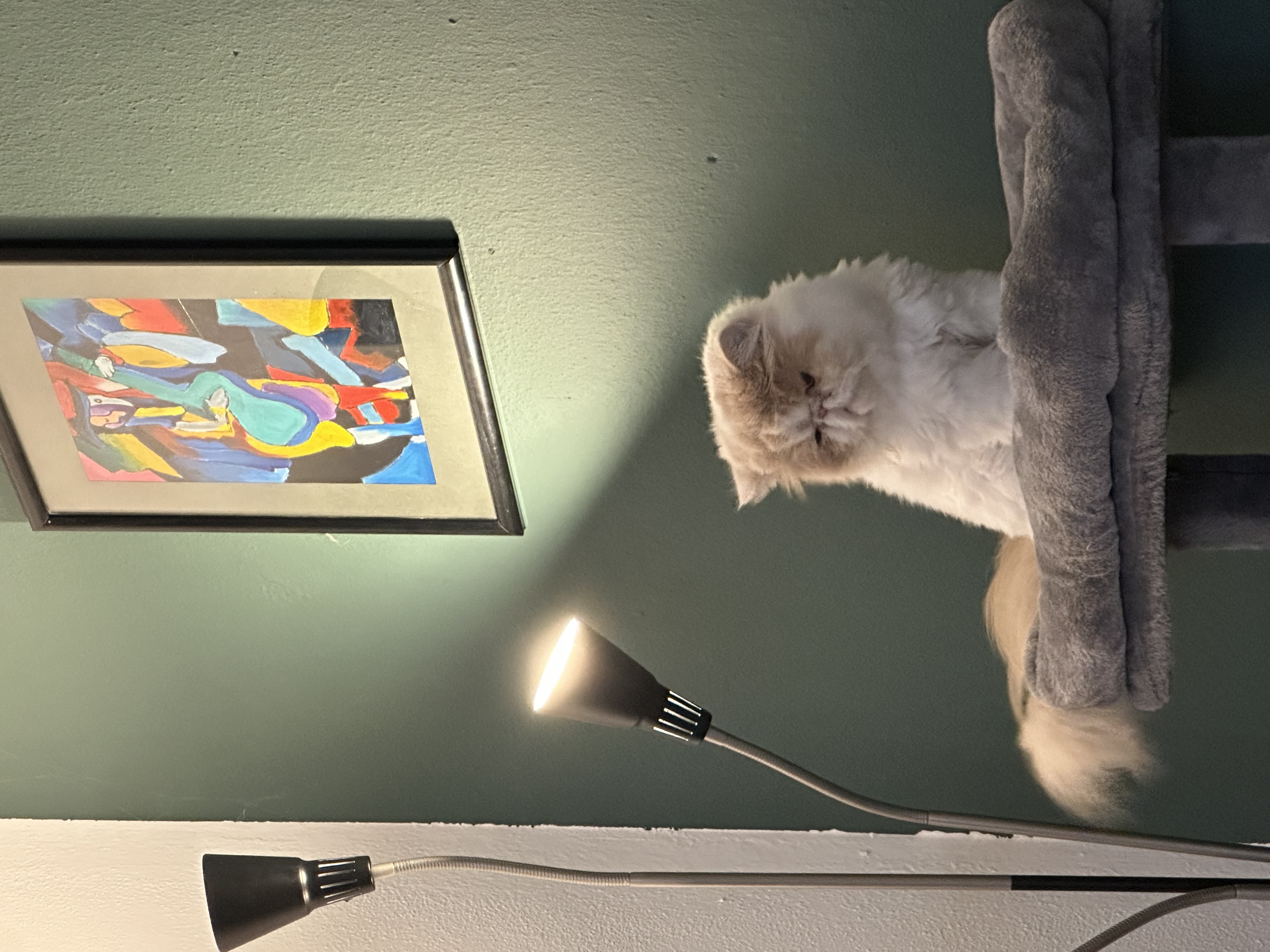 image-11