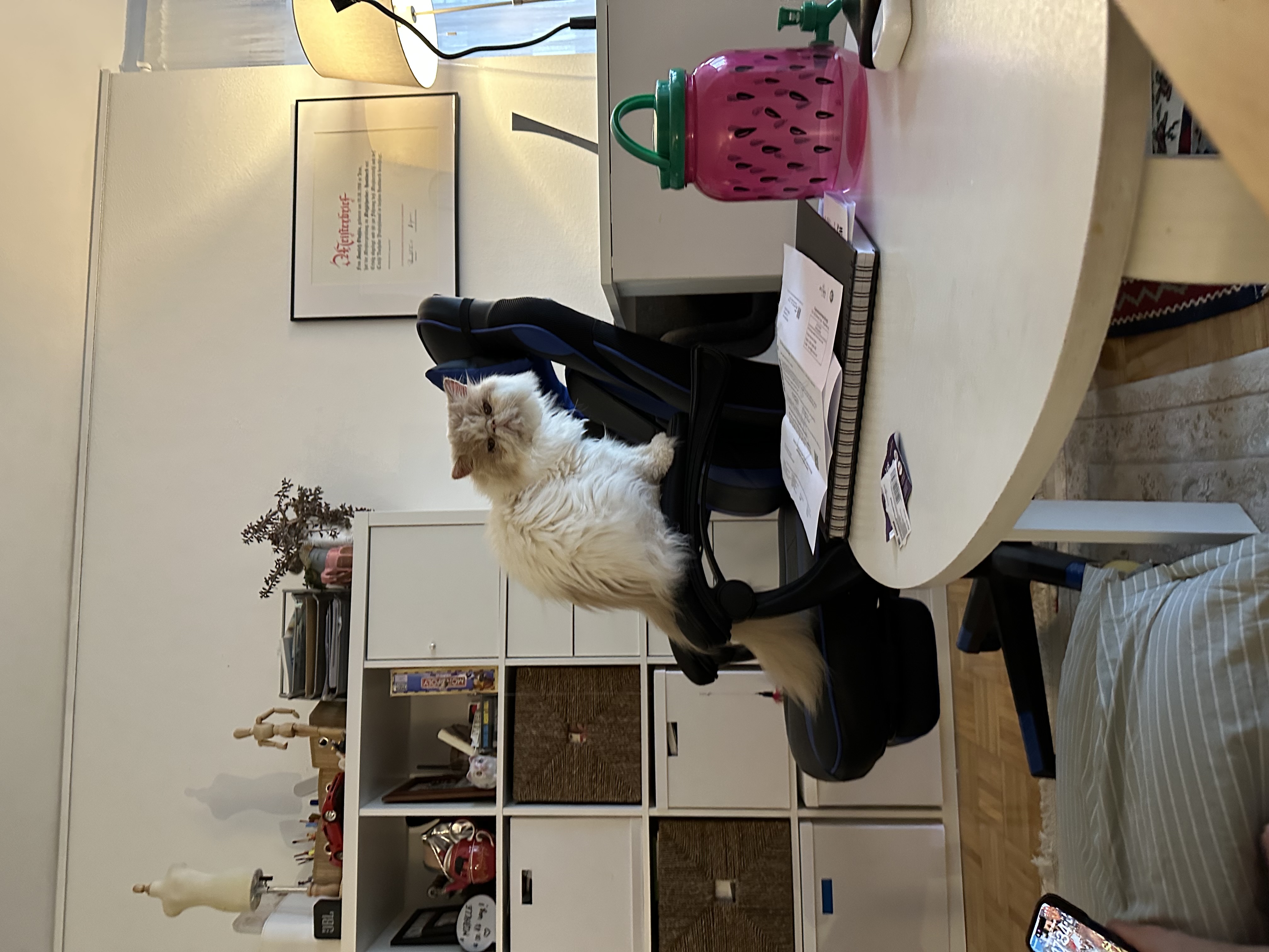 image-8