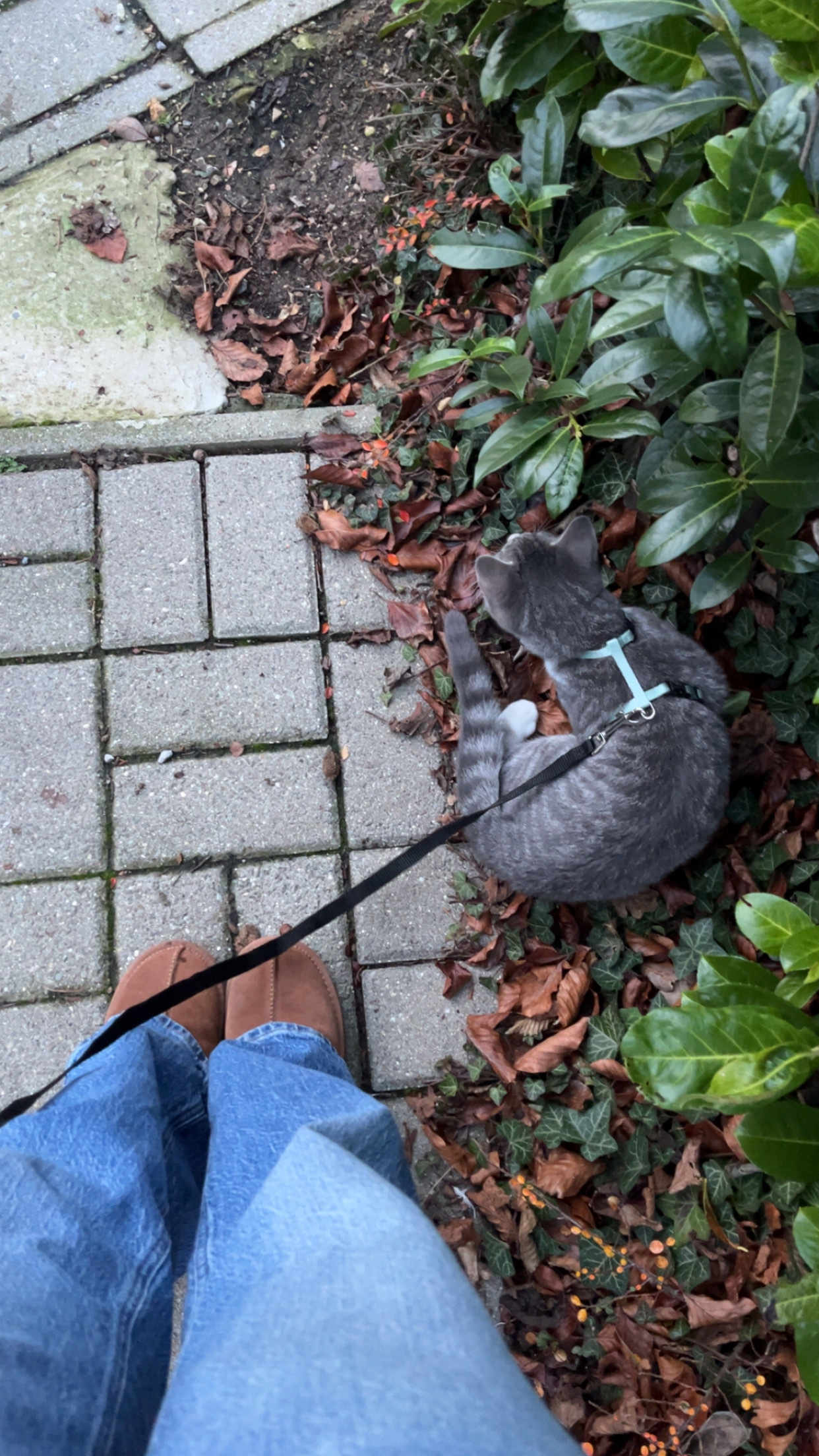 image-9