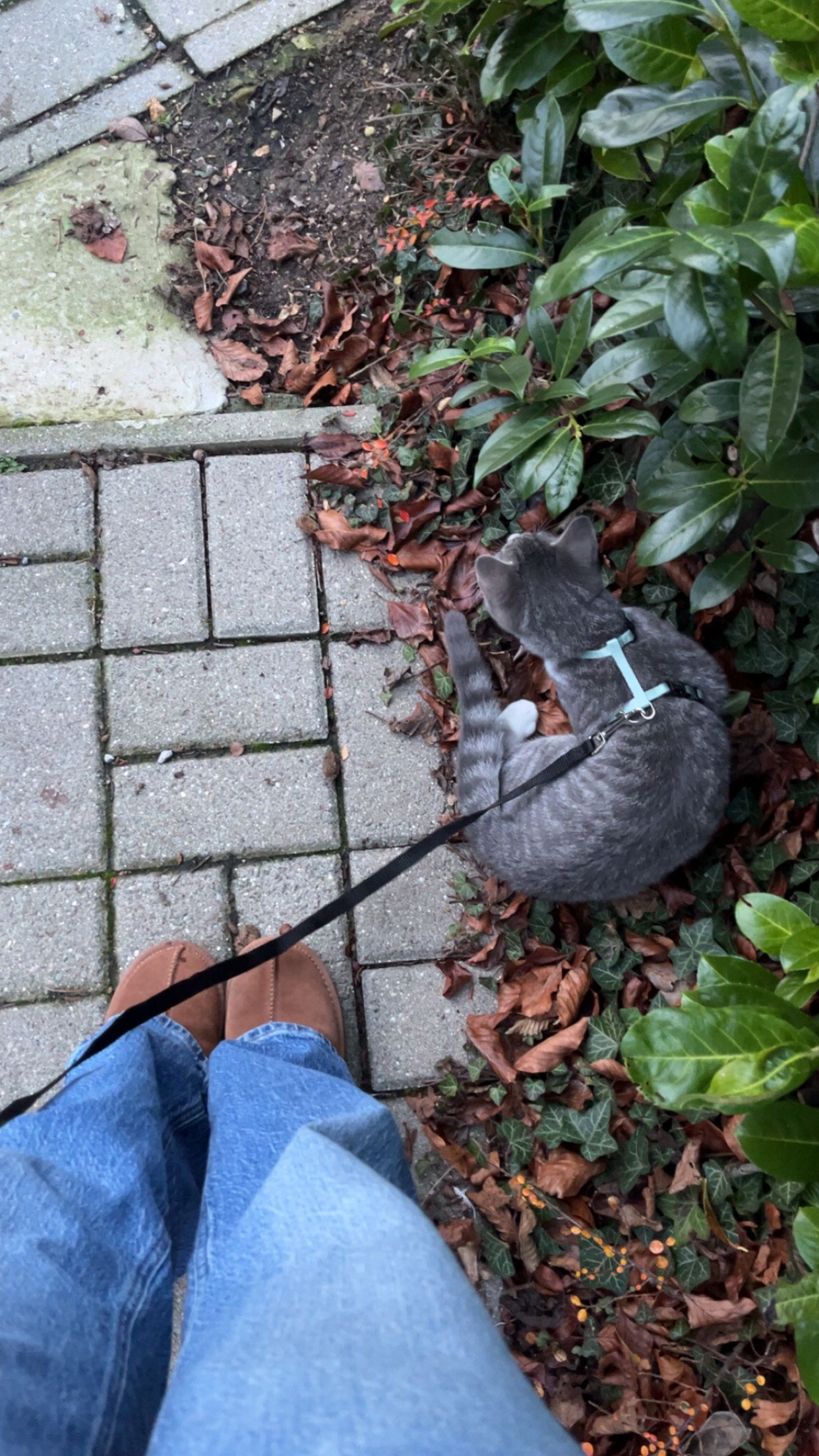 image-9