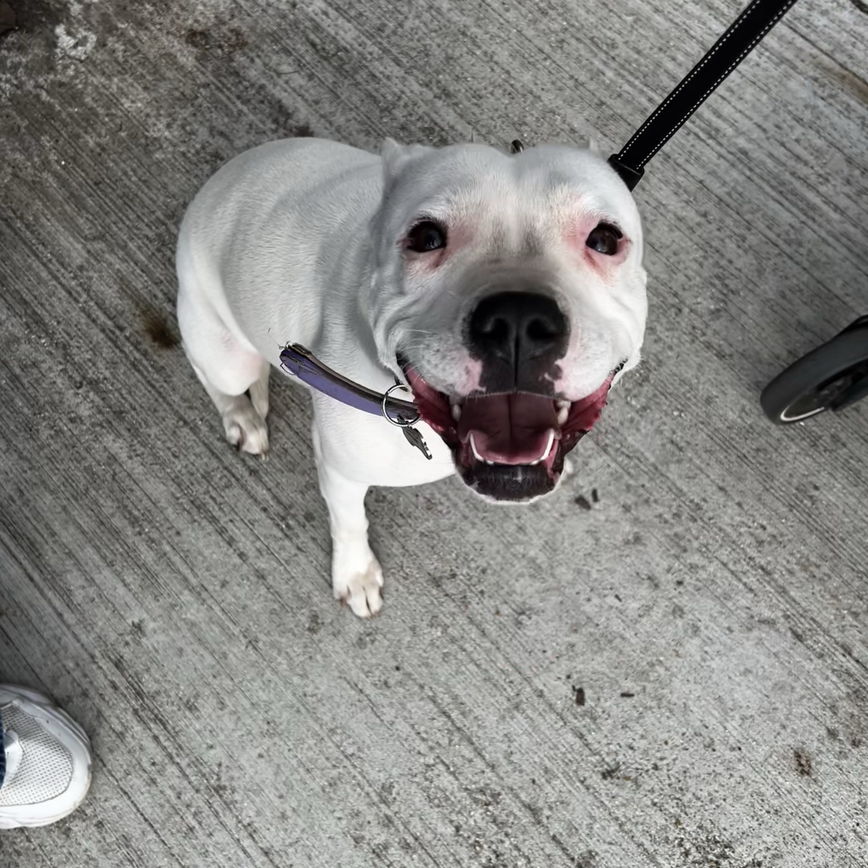 Maggie 