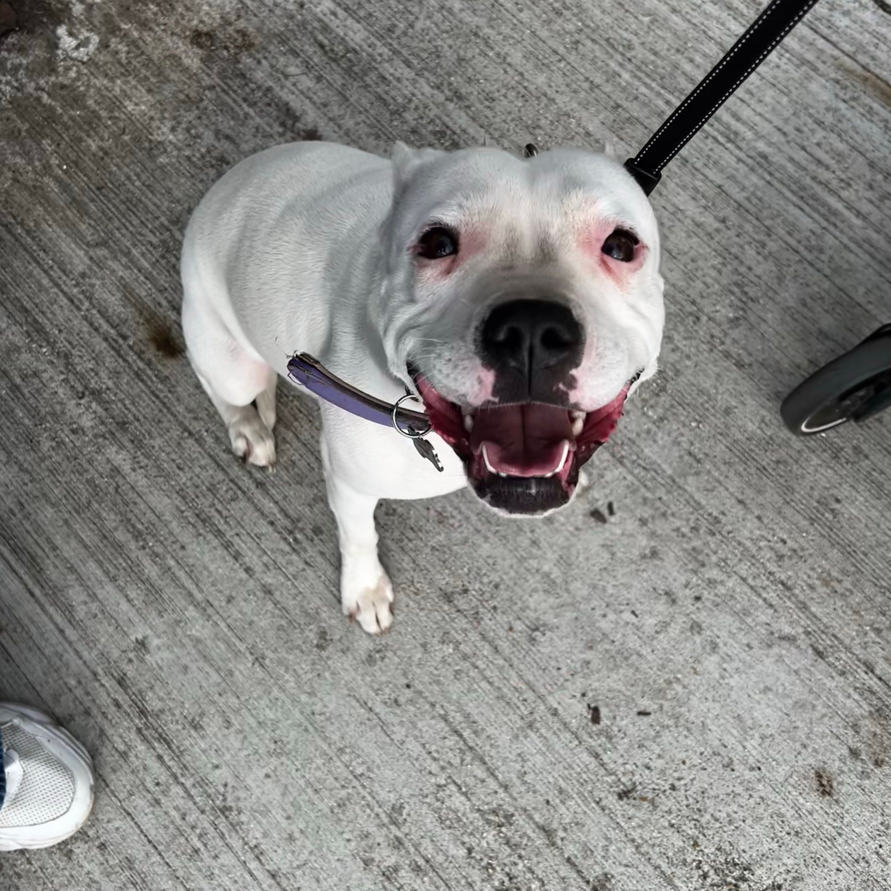 Maggie