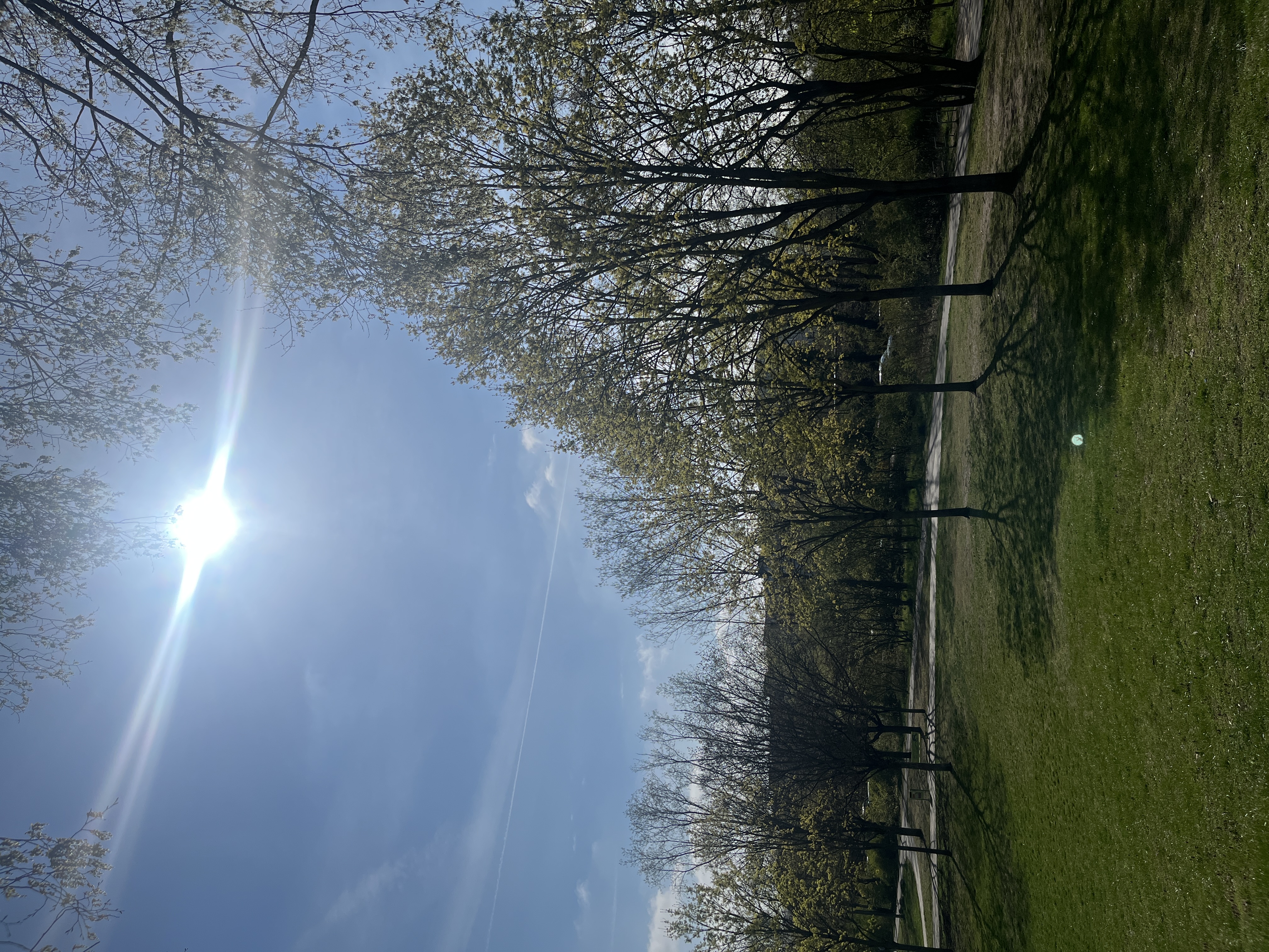 image-14