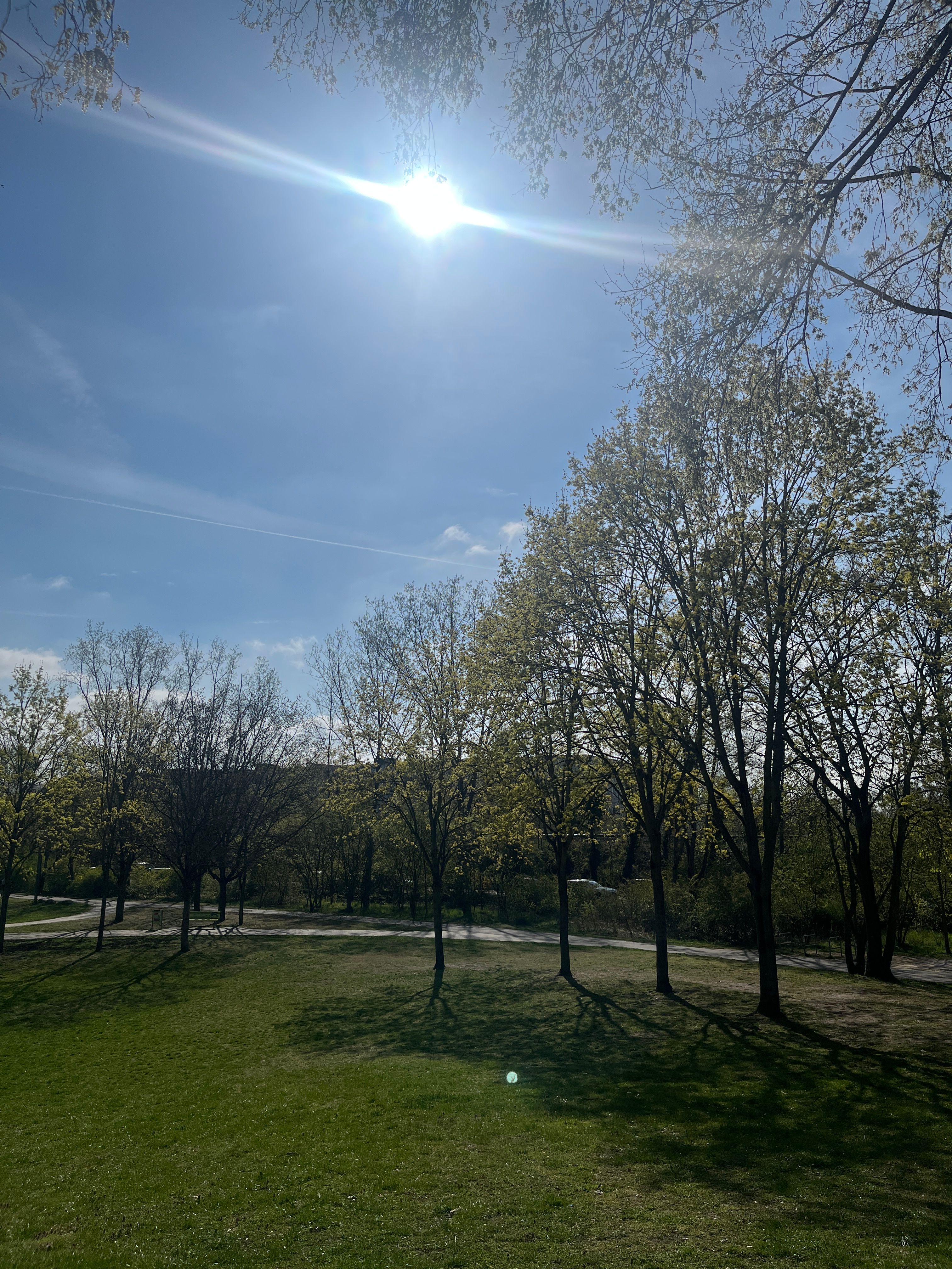 image-14