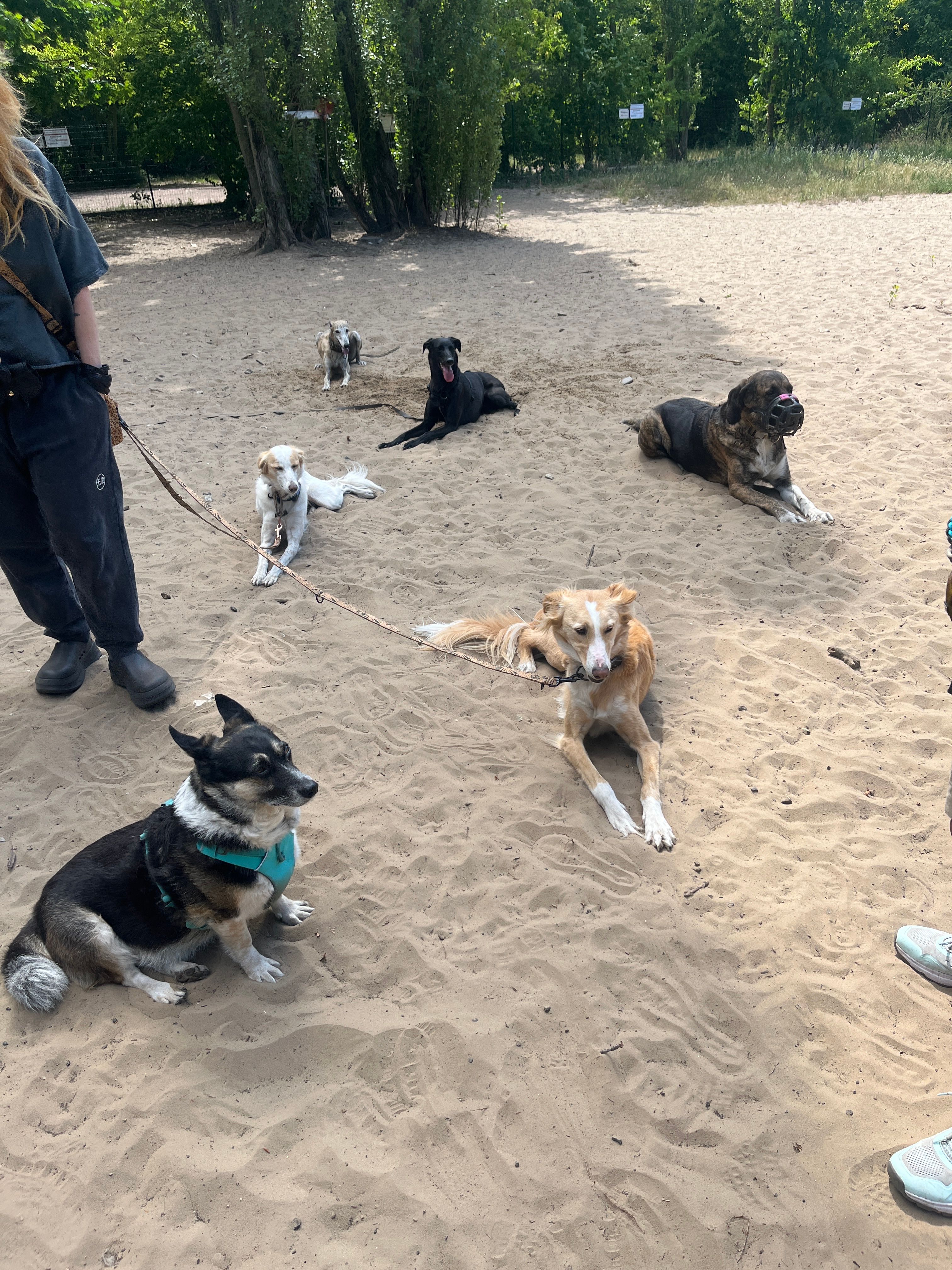 image-3