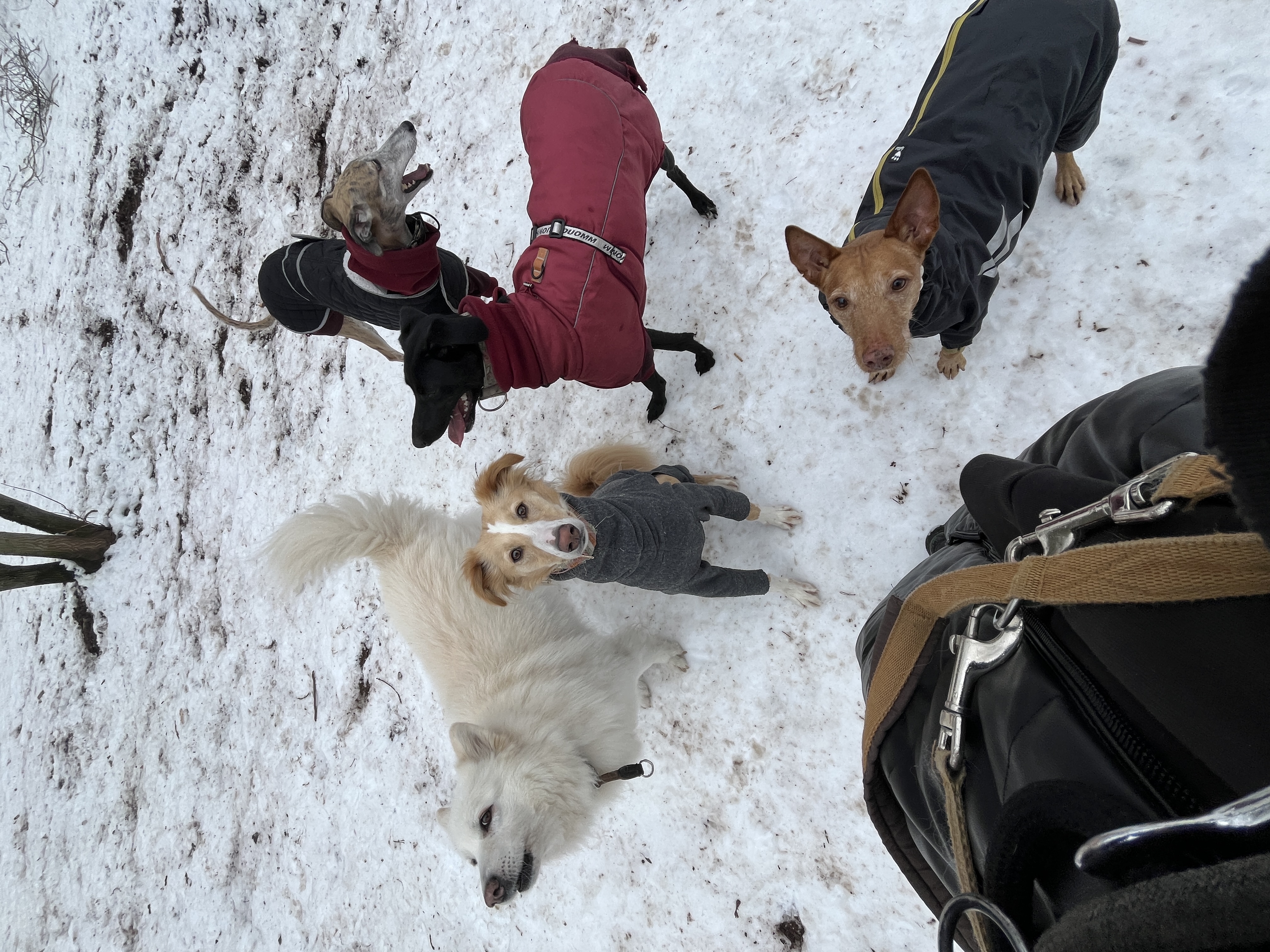 image-10
