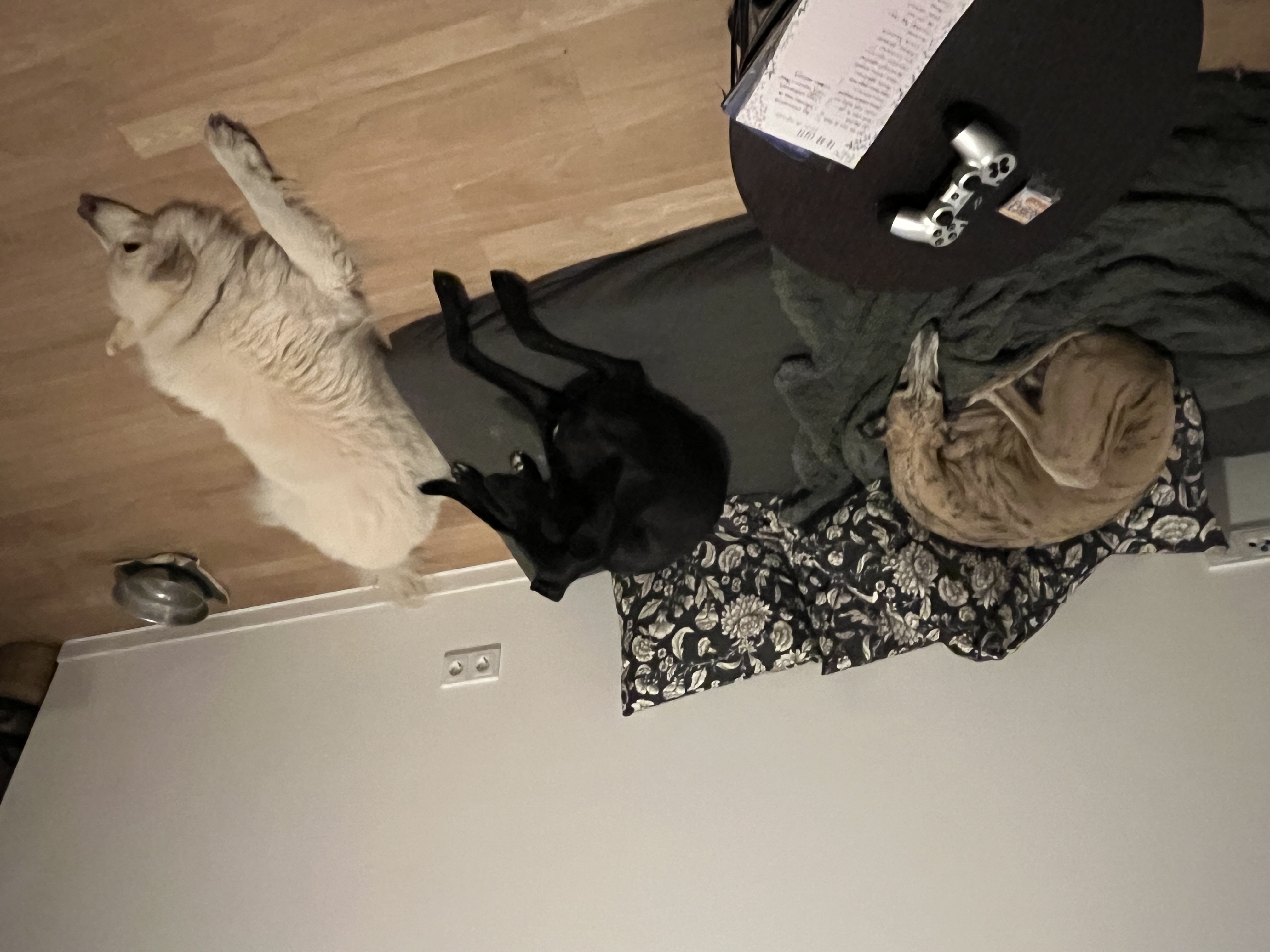 image-15