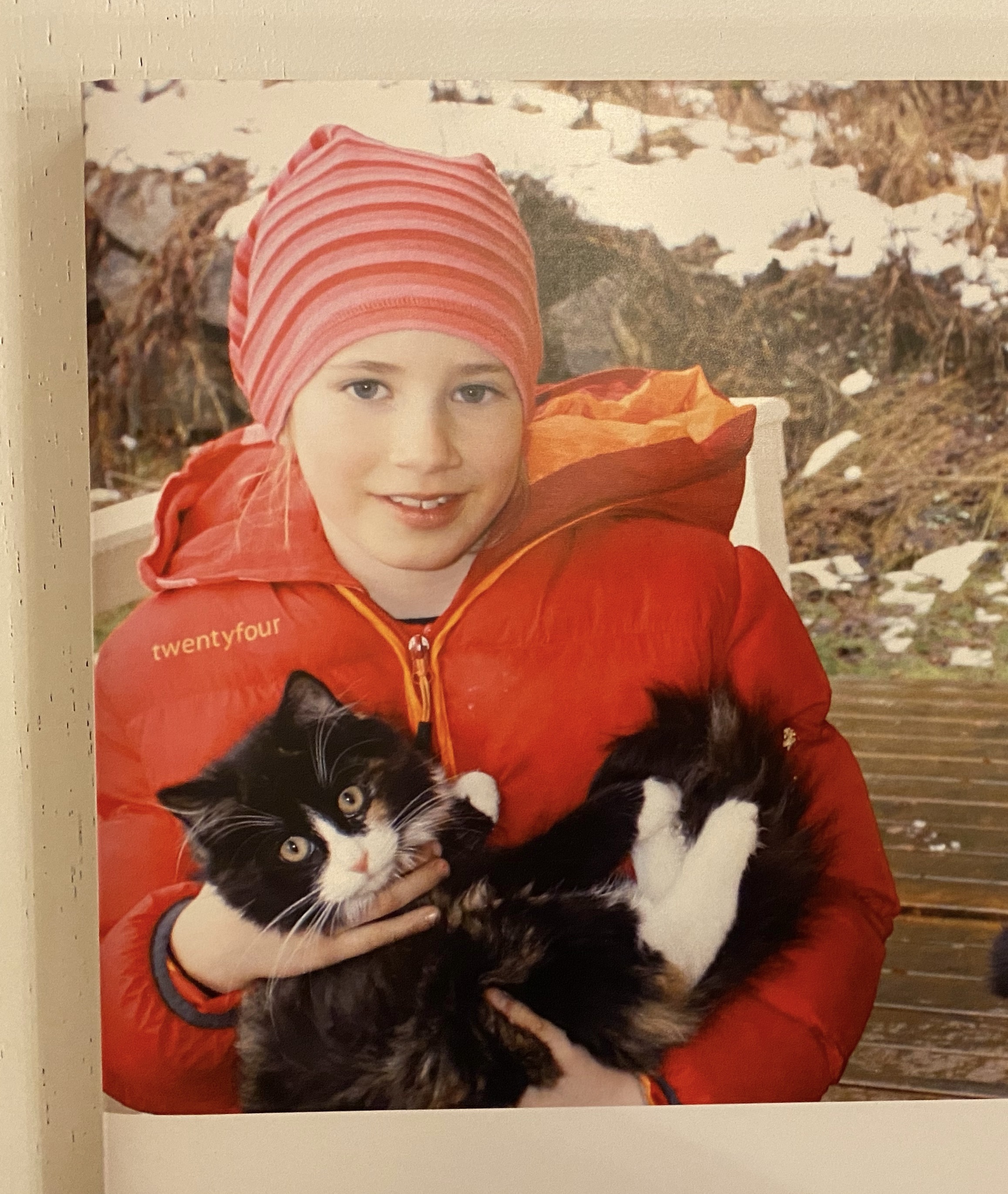 image-9