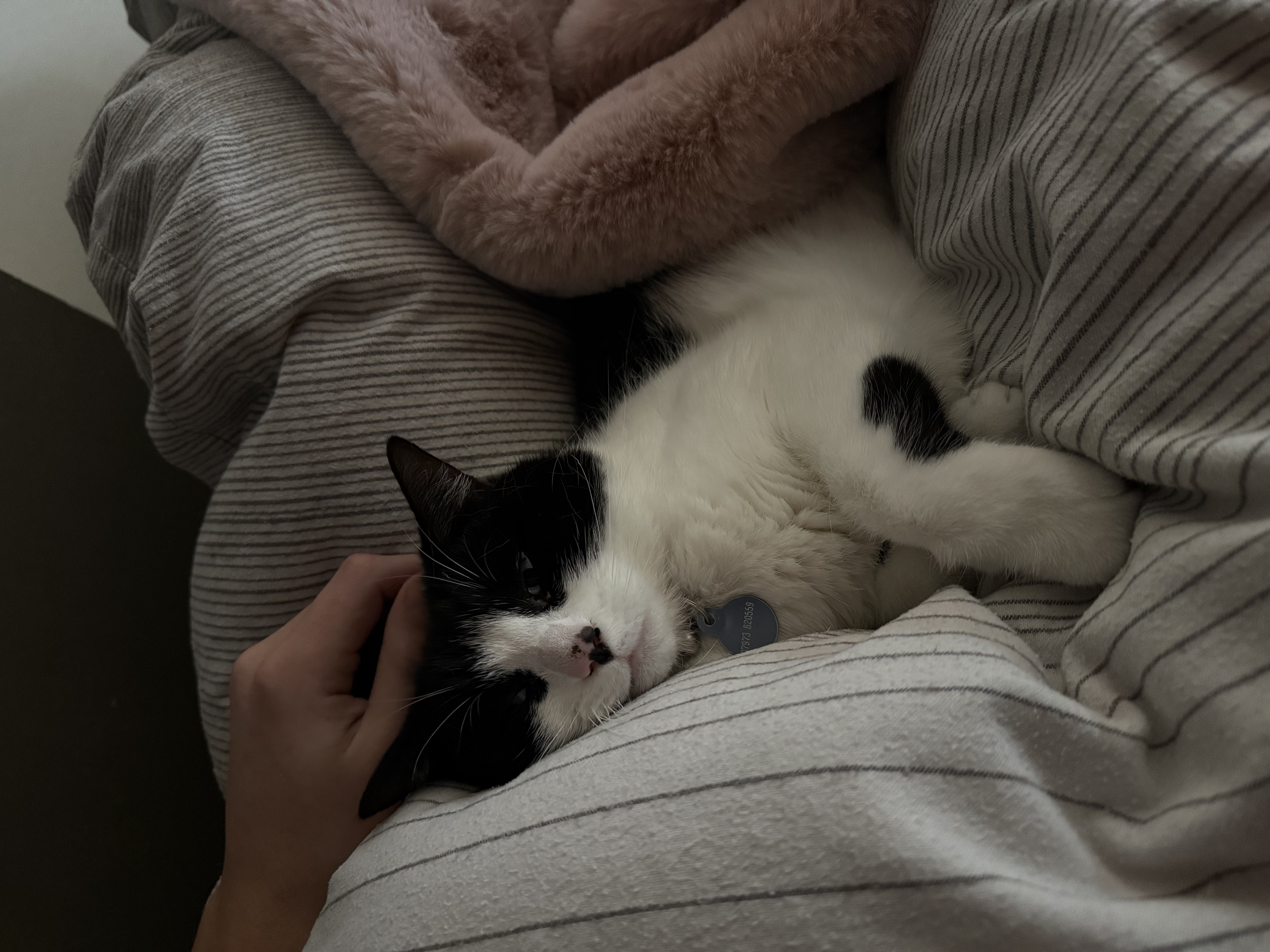 image-5