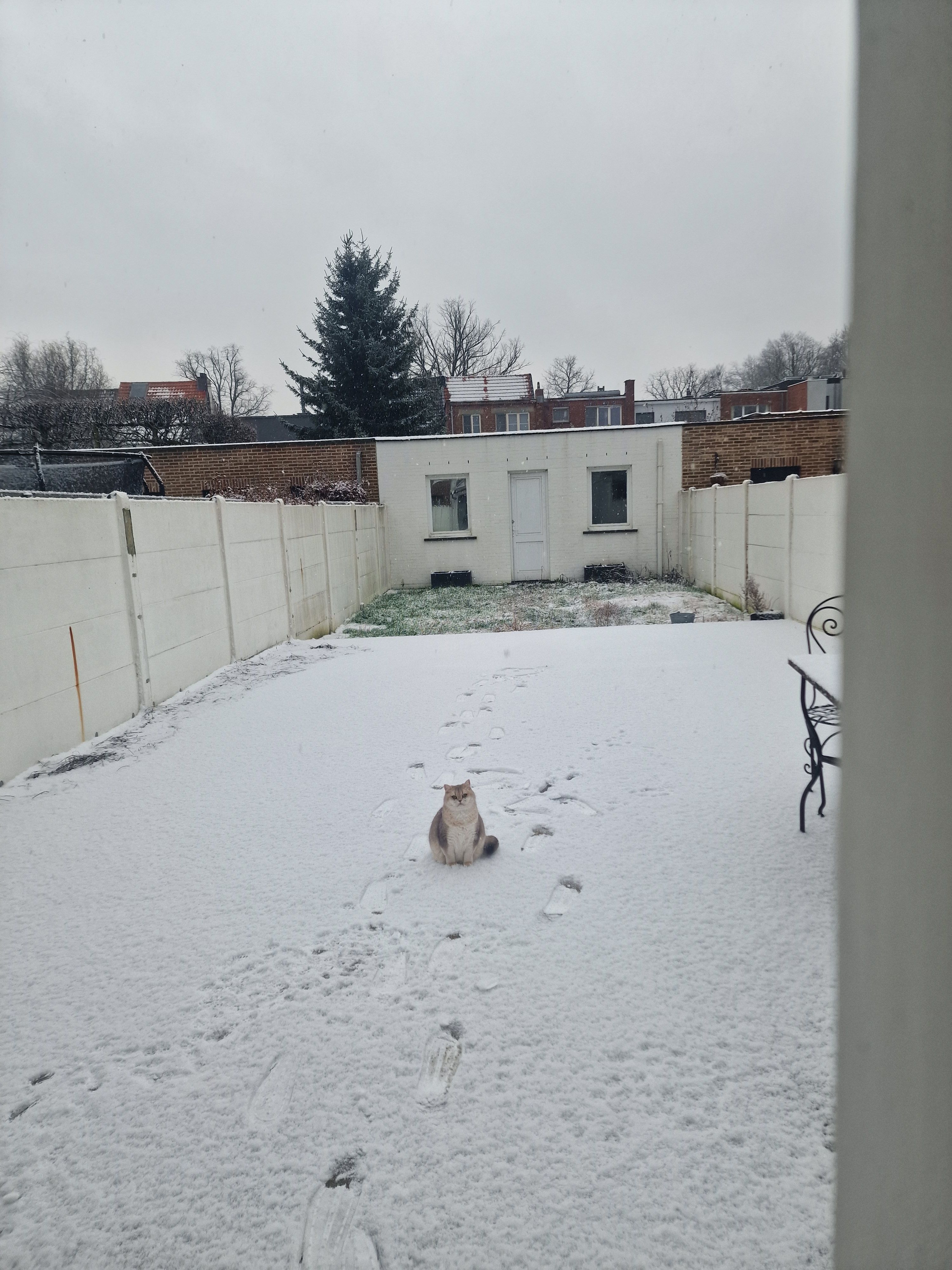 image-12
