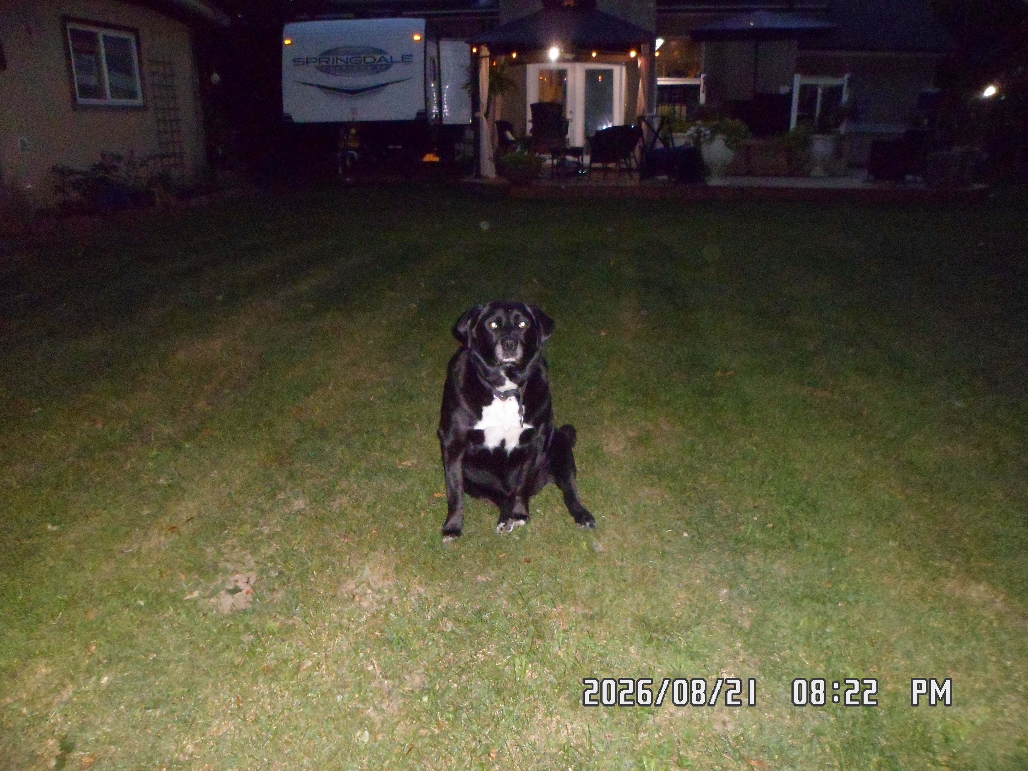 image-11