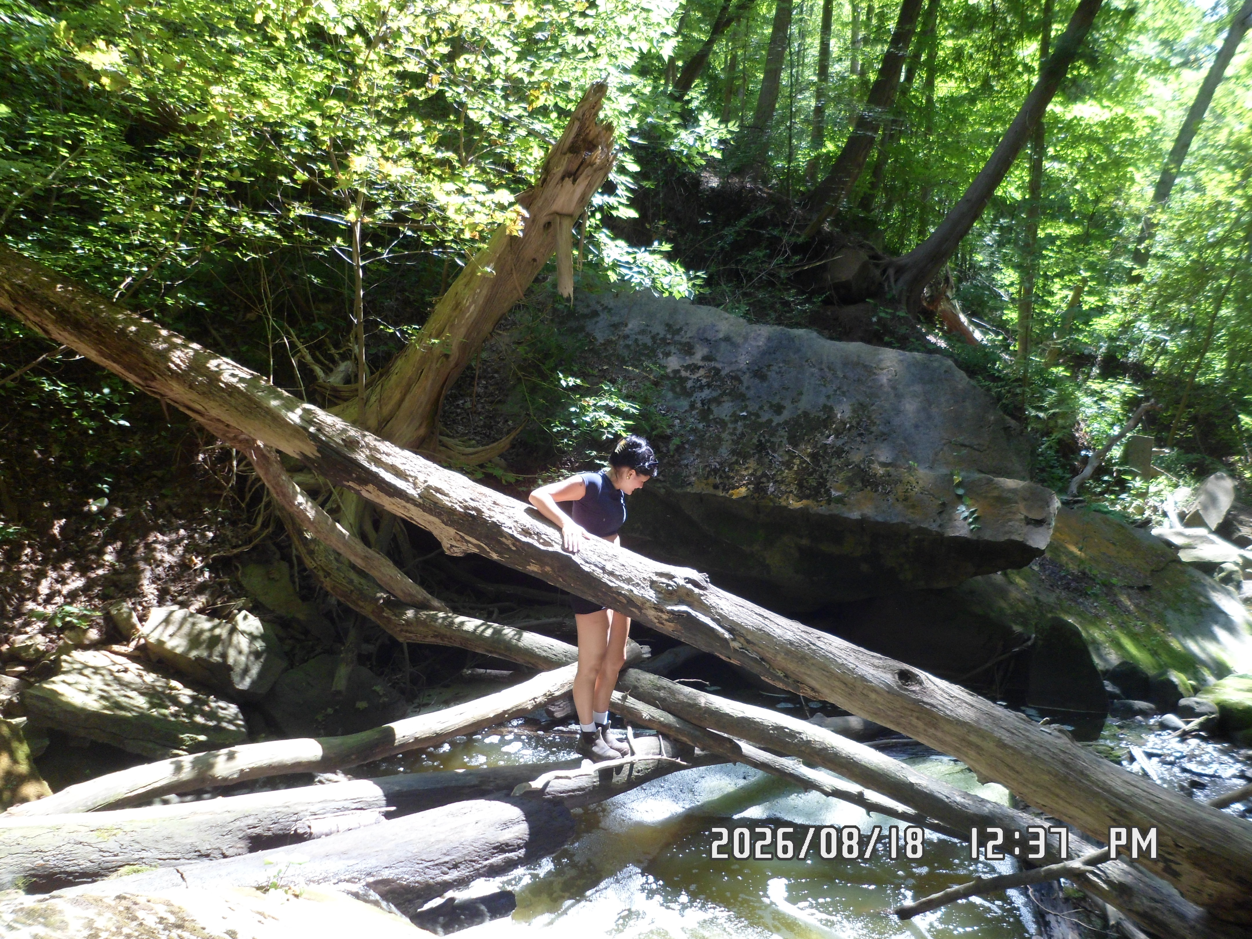 image-5