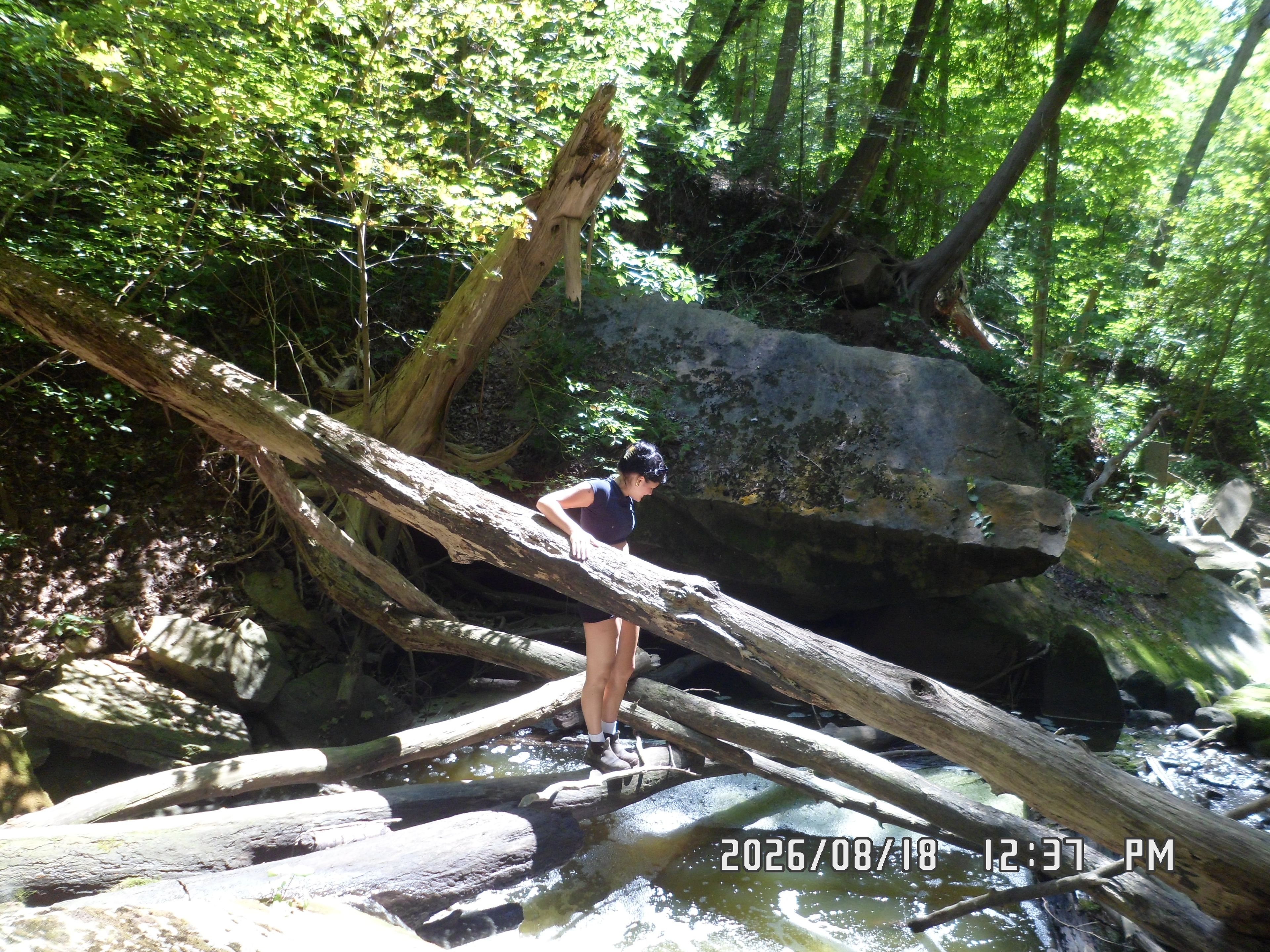 image-5