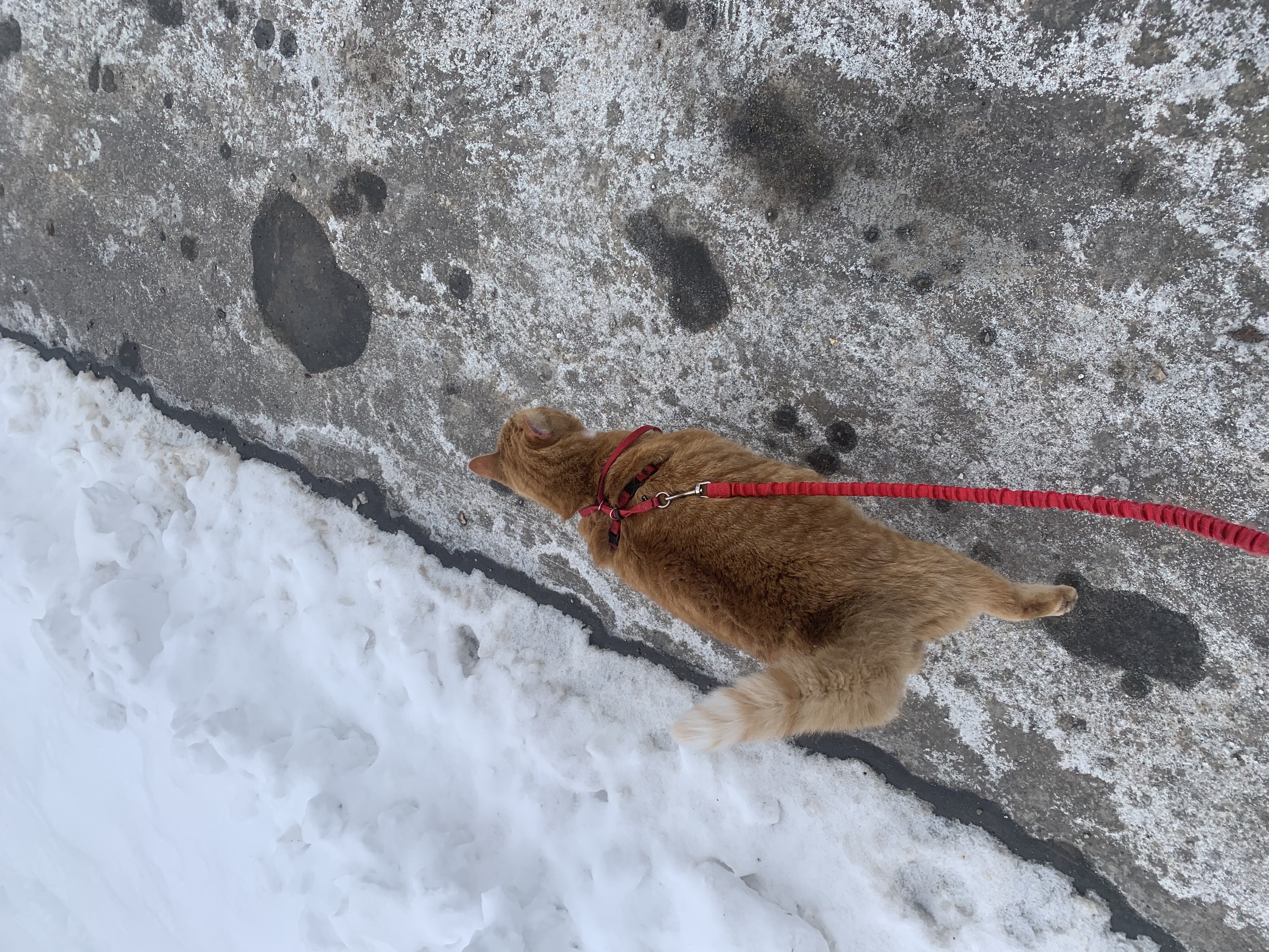 image-8