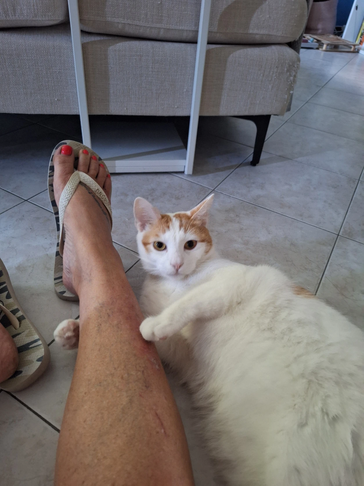 image-16