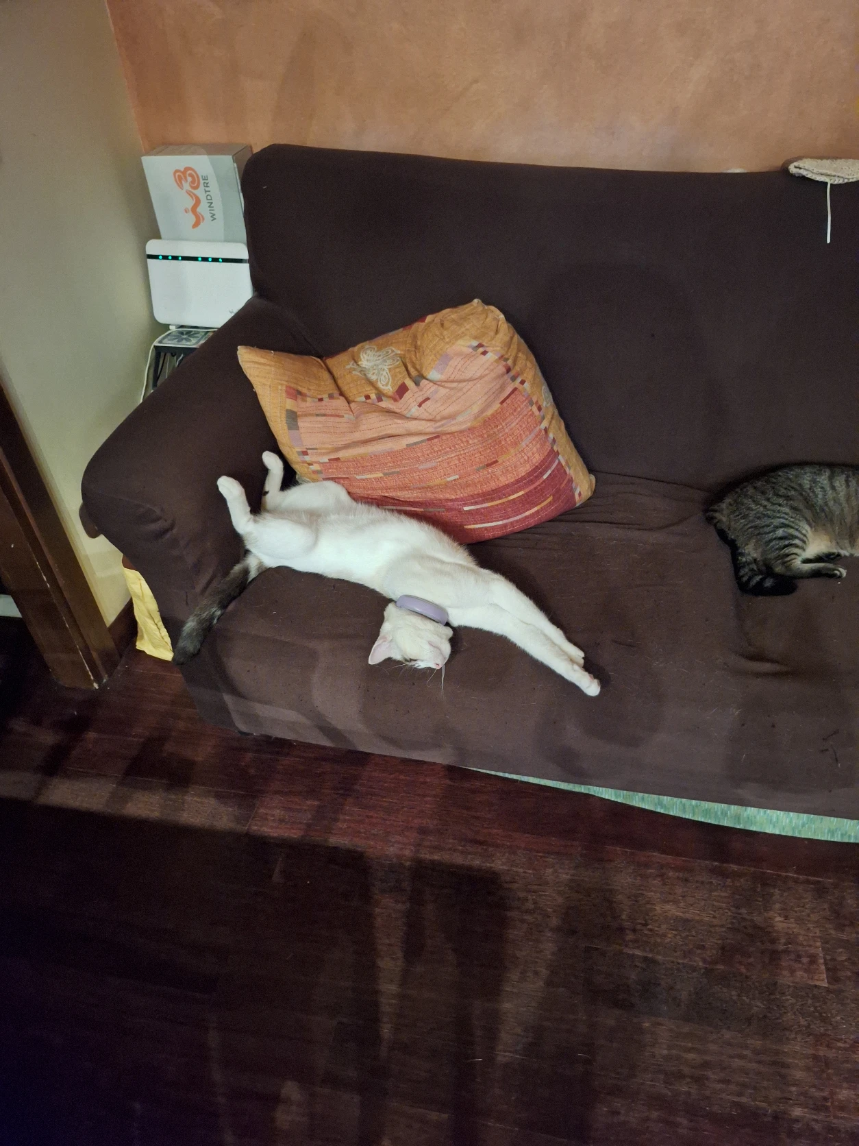 image-5