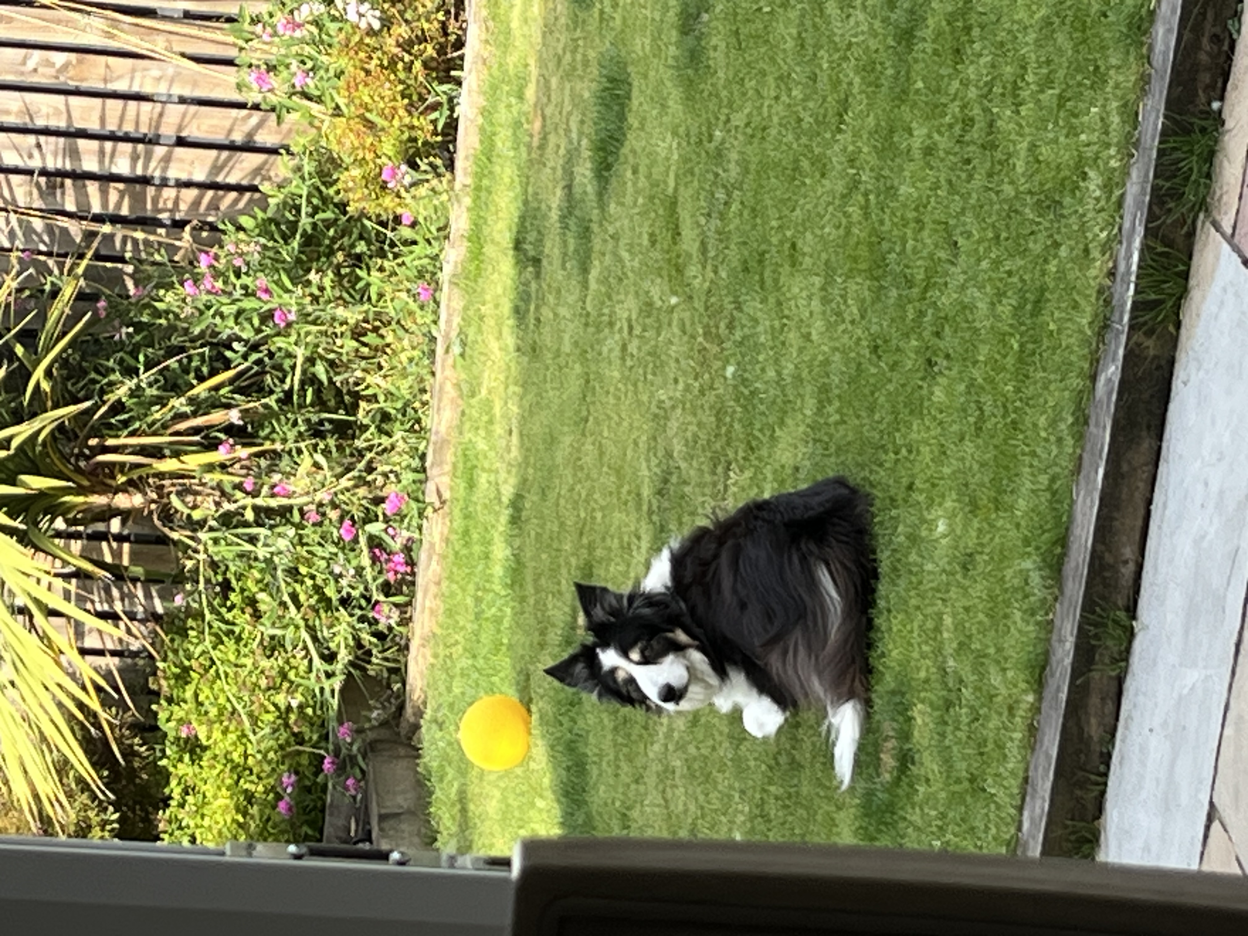 image-8