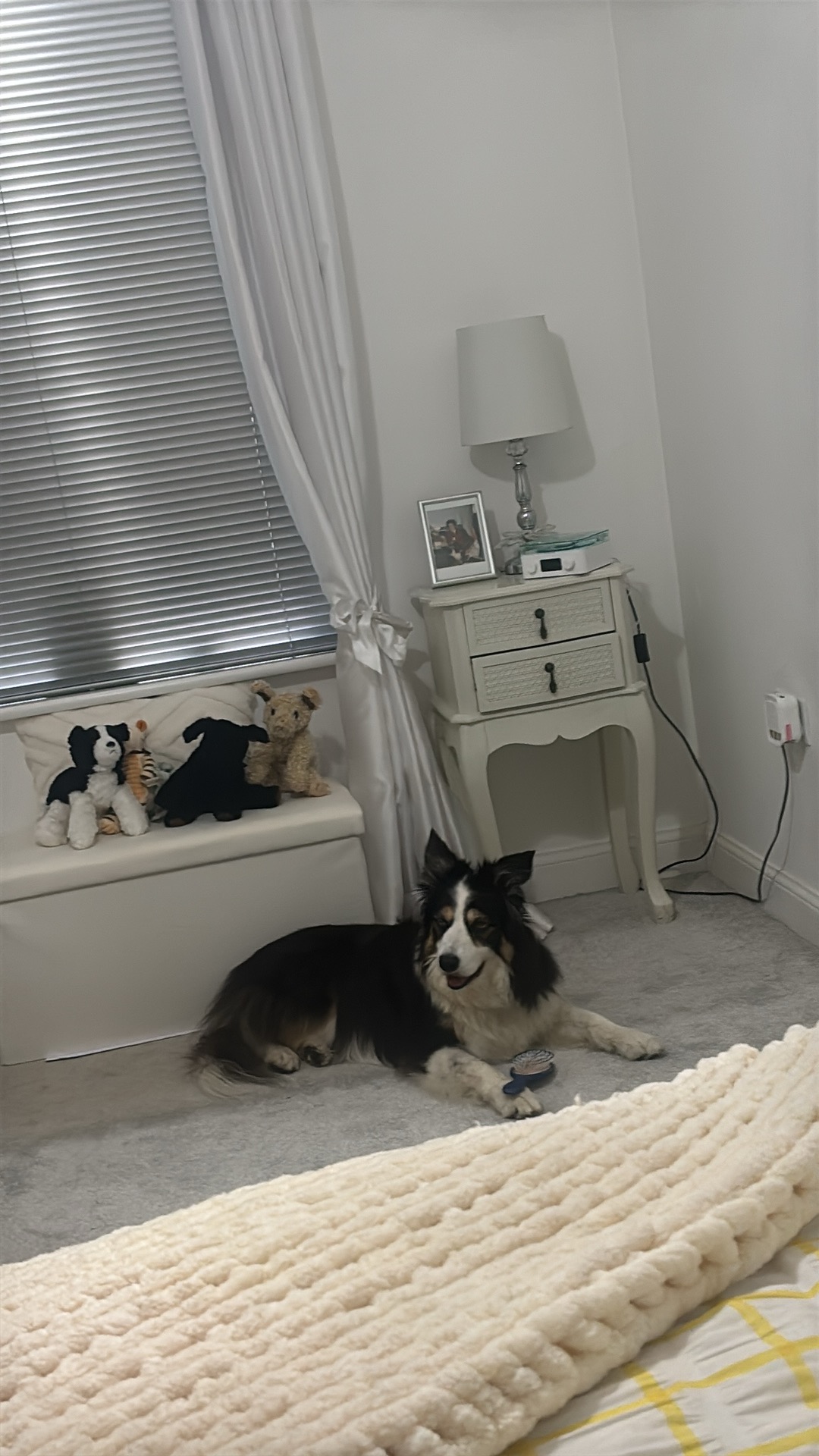 image-11