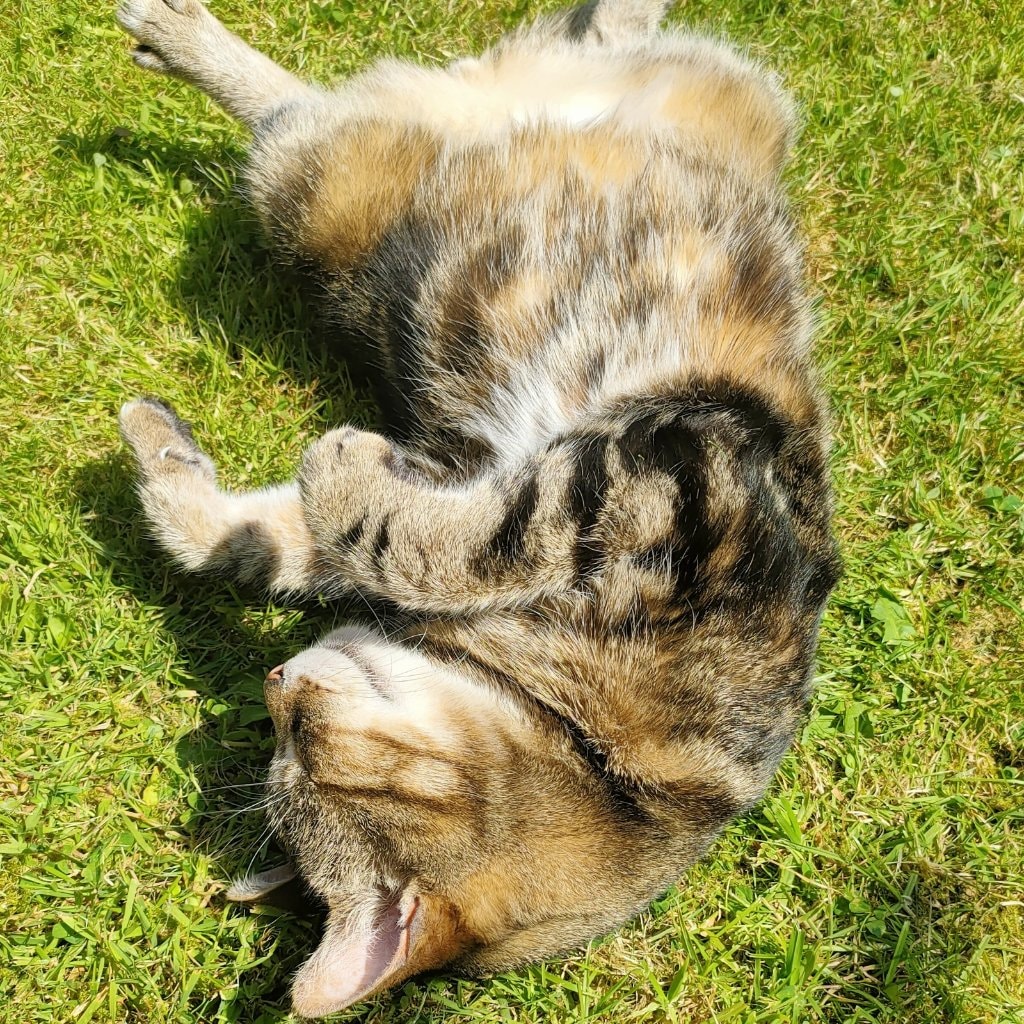 Marley 