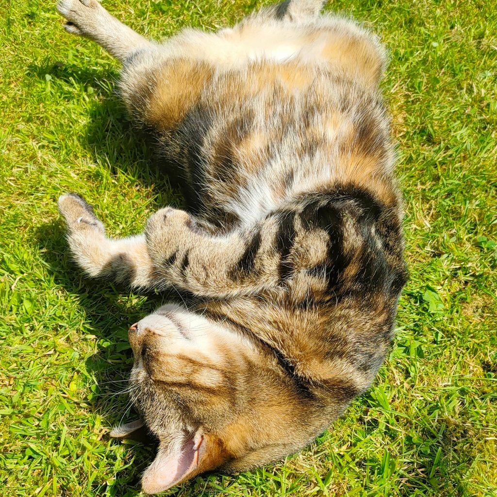 Marley