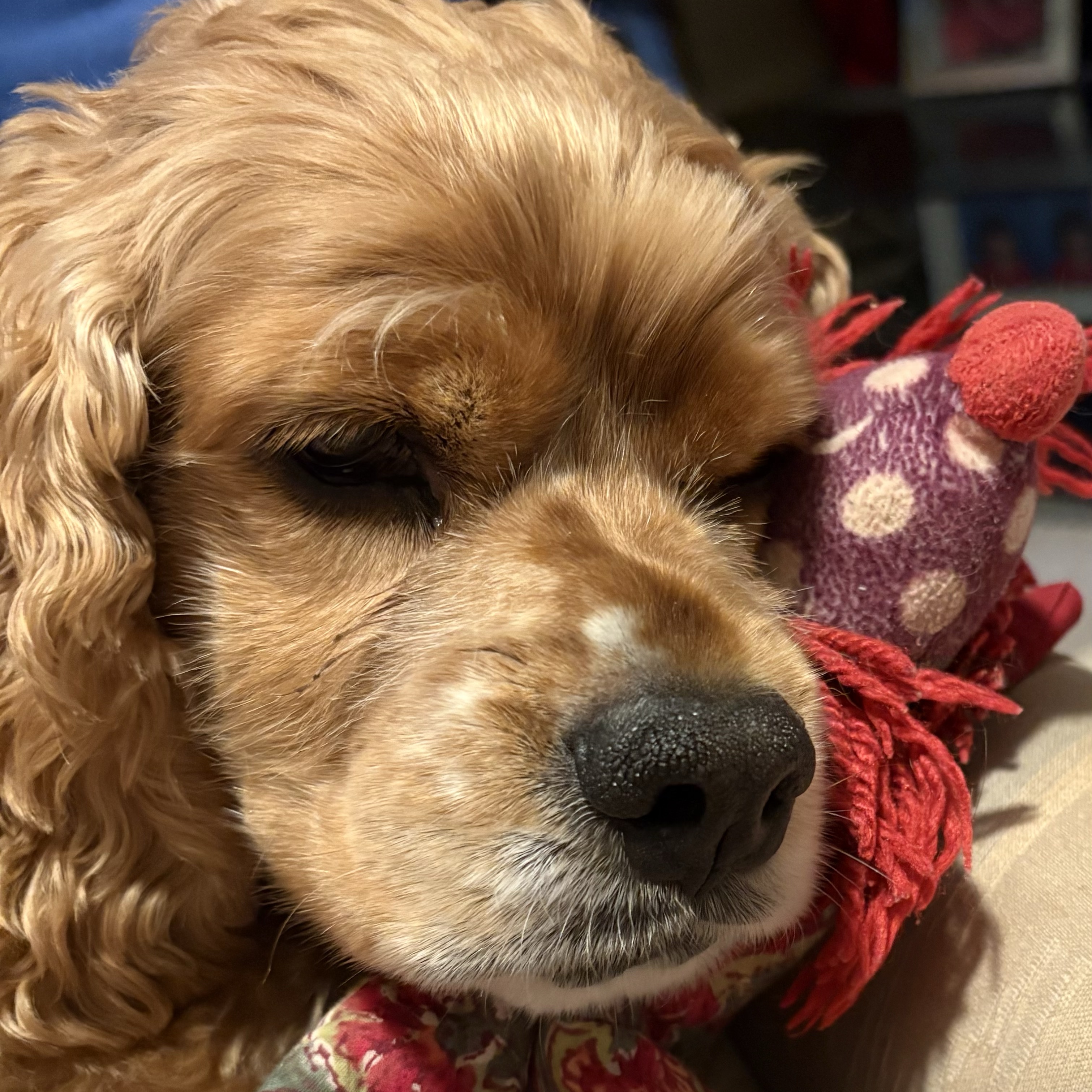 Charlie