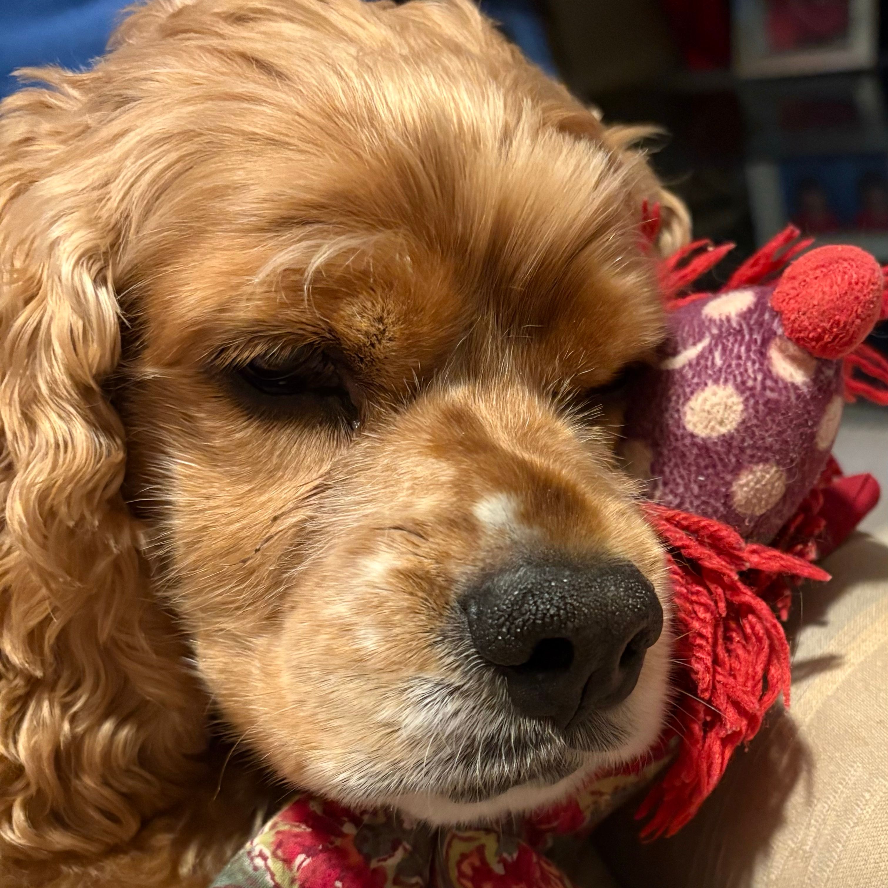 Charlie