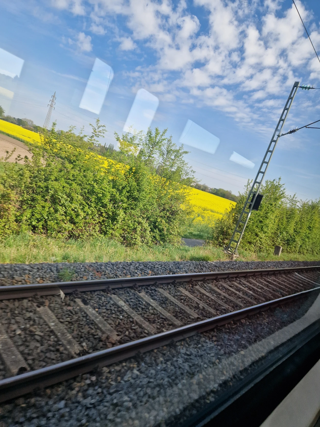 image-20