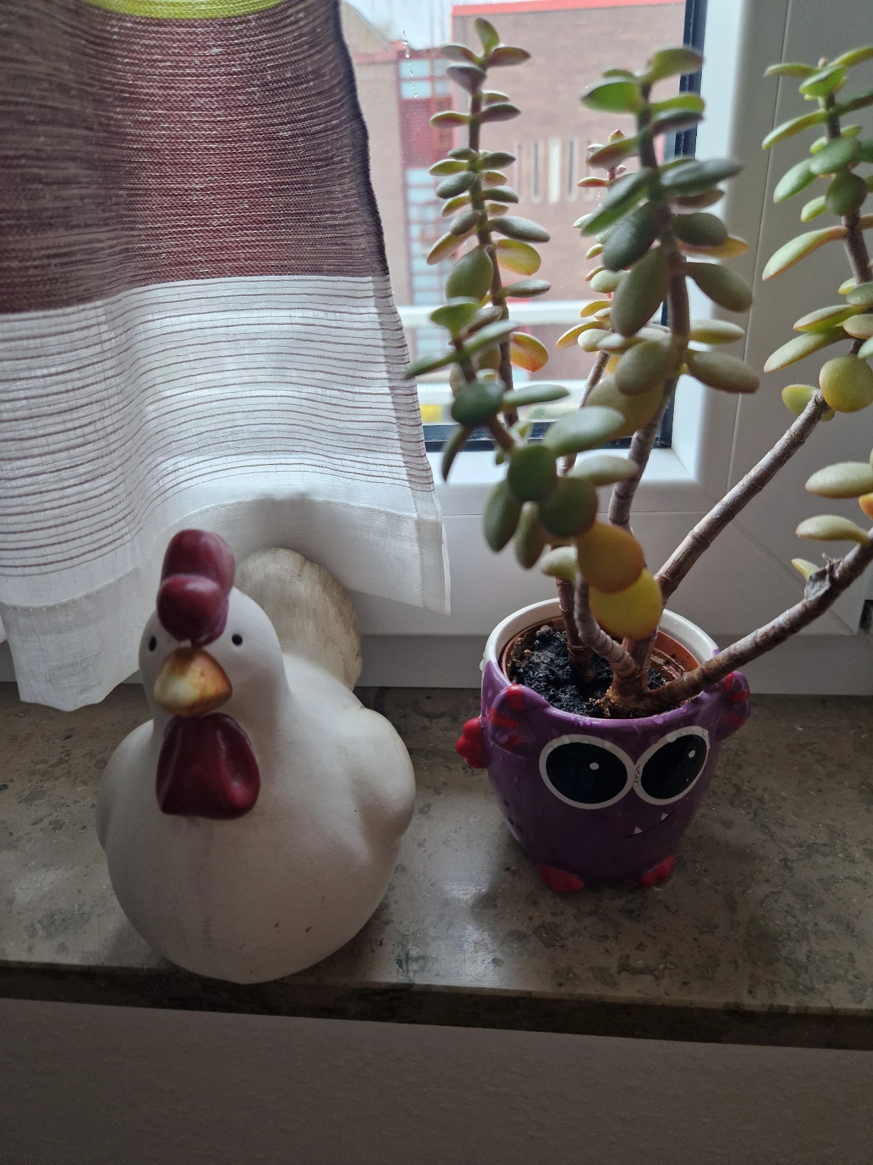 image-14