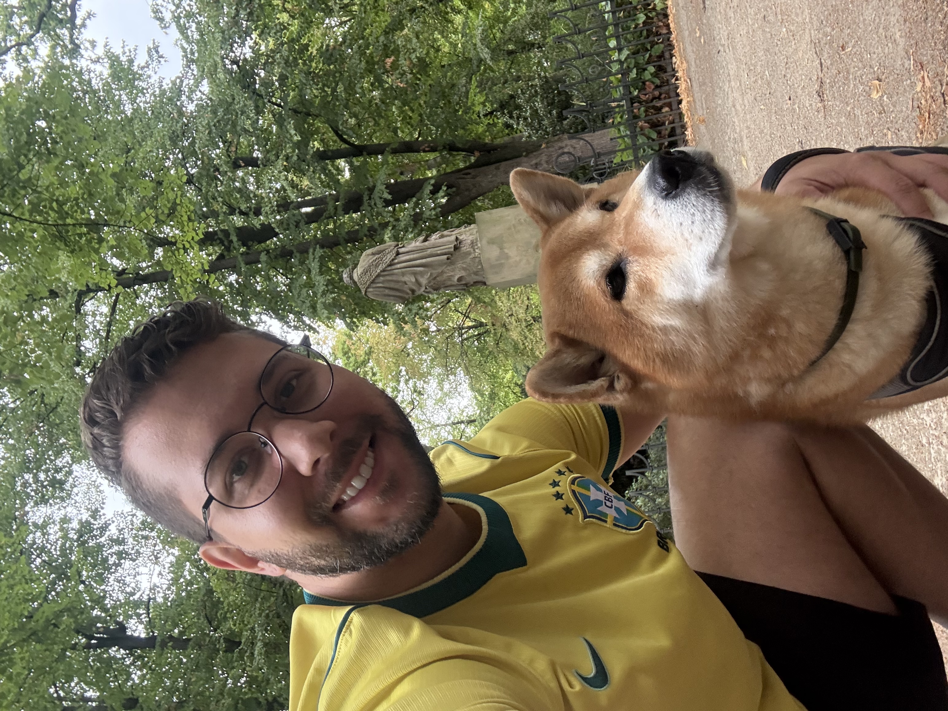 image-6