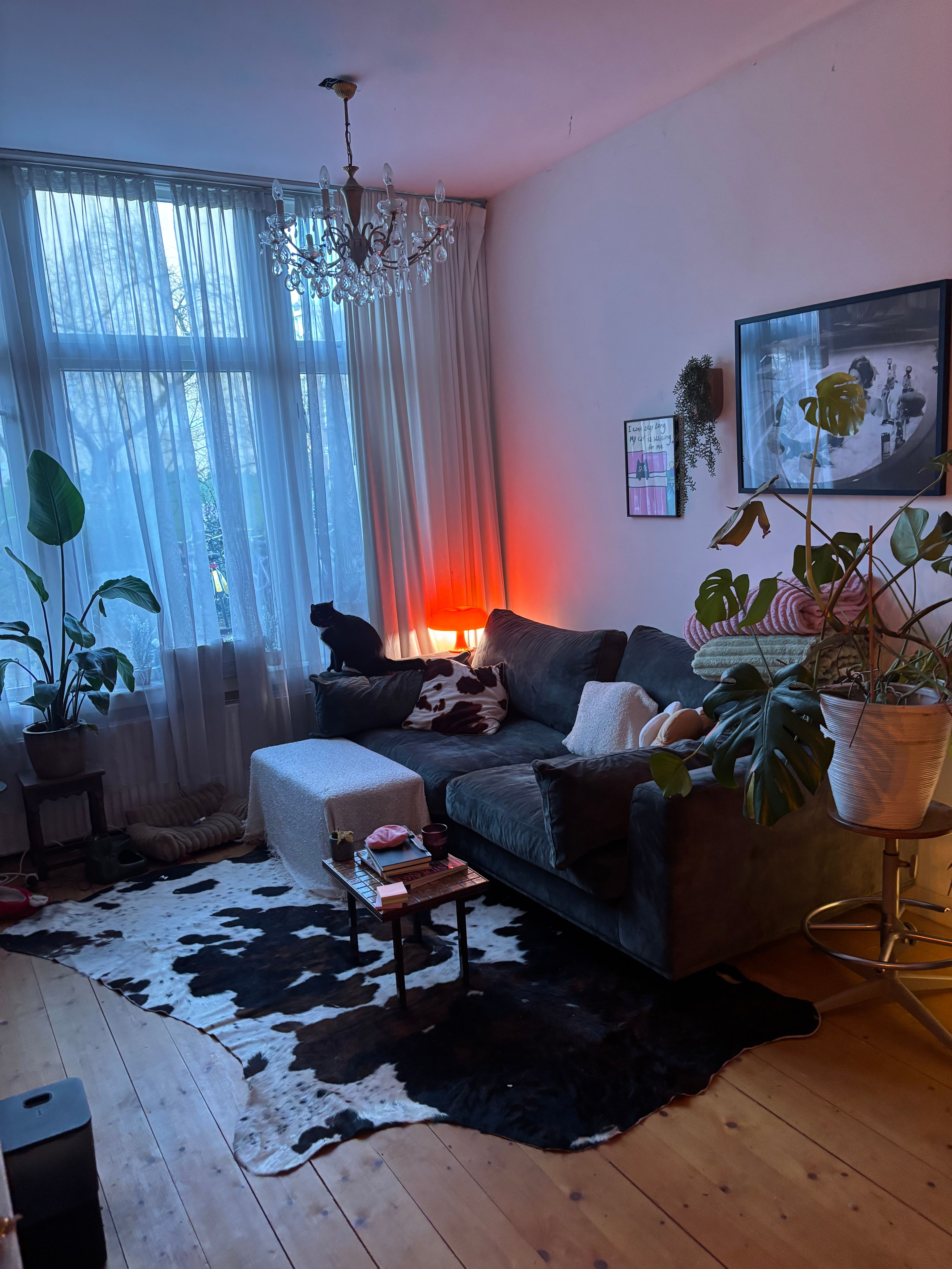 image-9