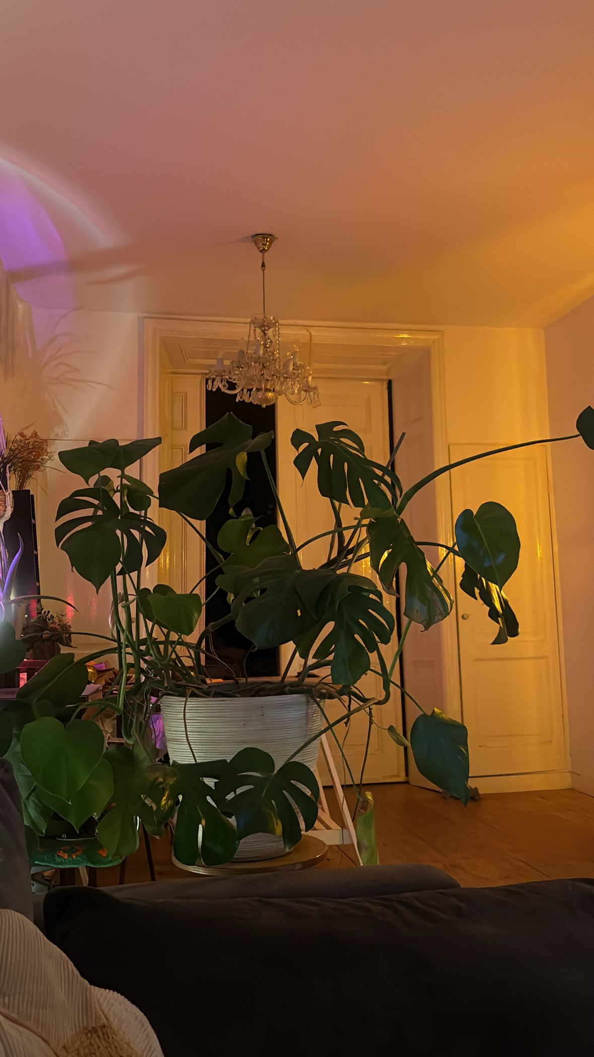 image-14
