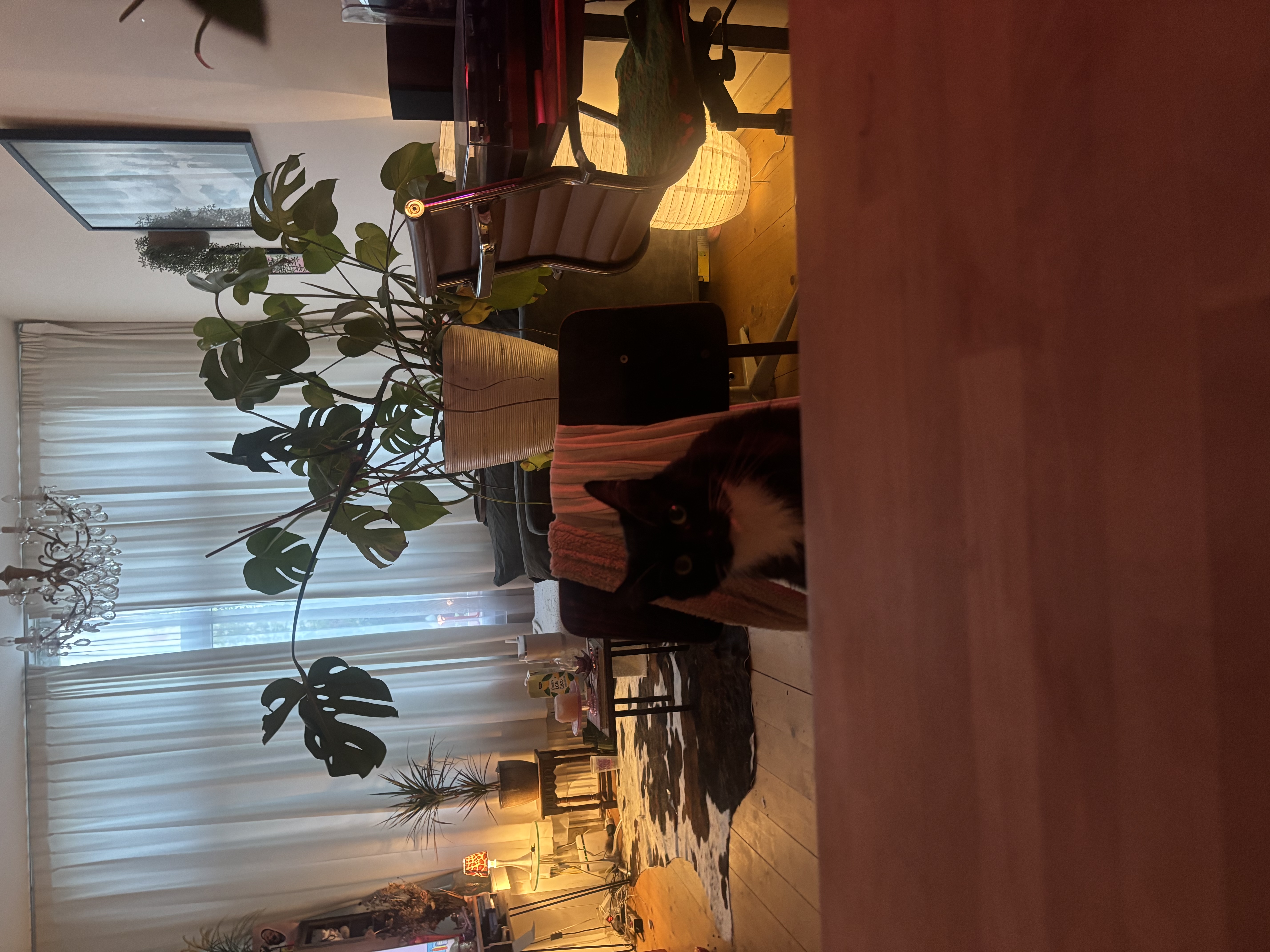 image-11