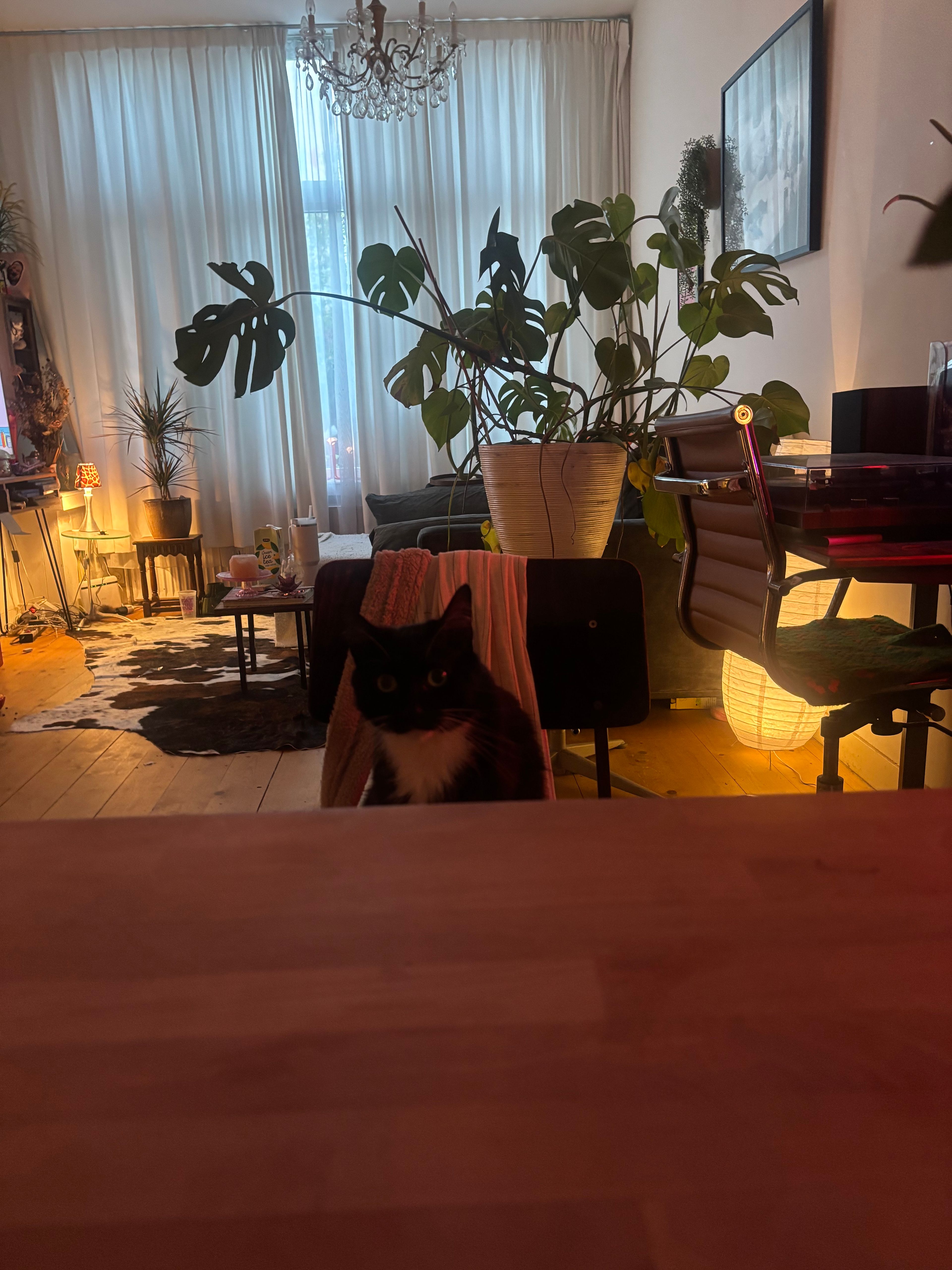 image-11