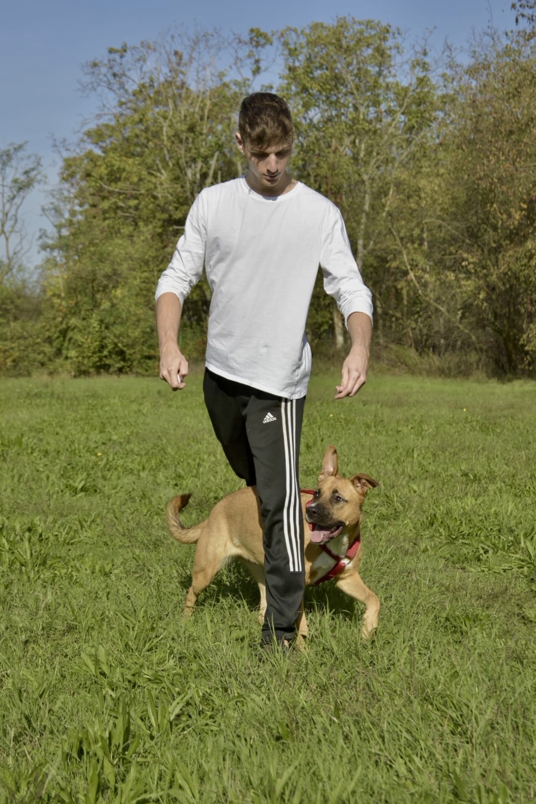 image-7