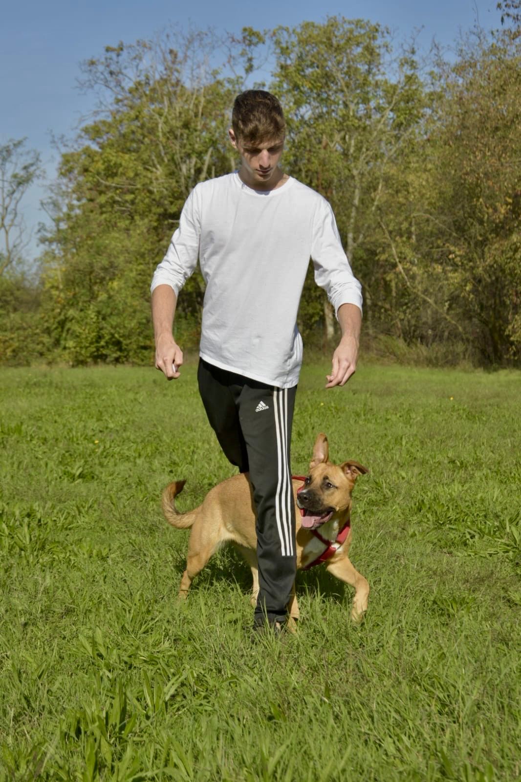 image-7