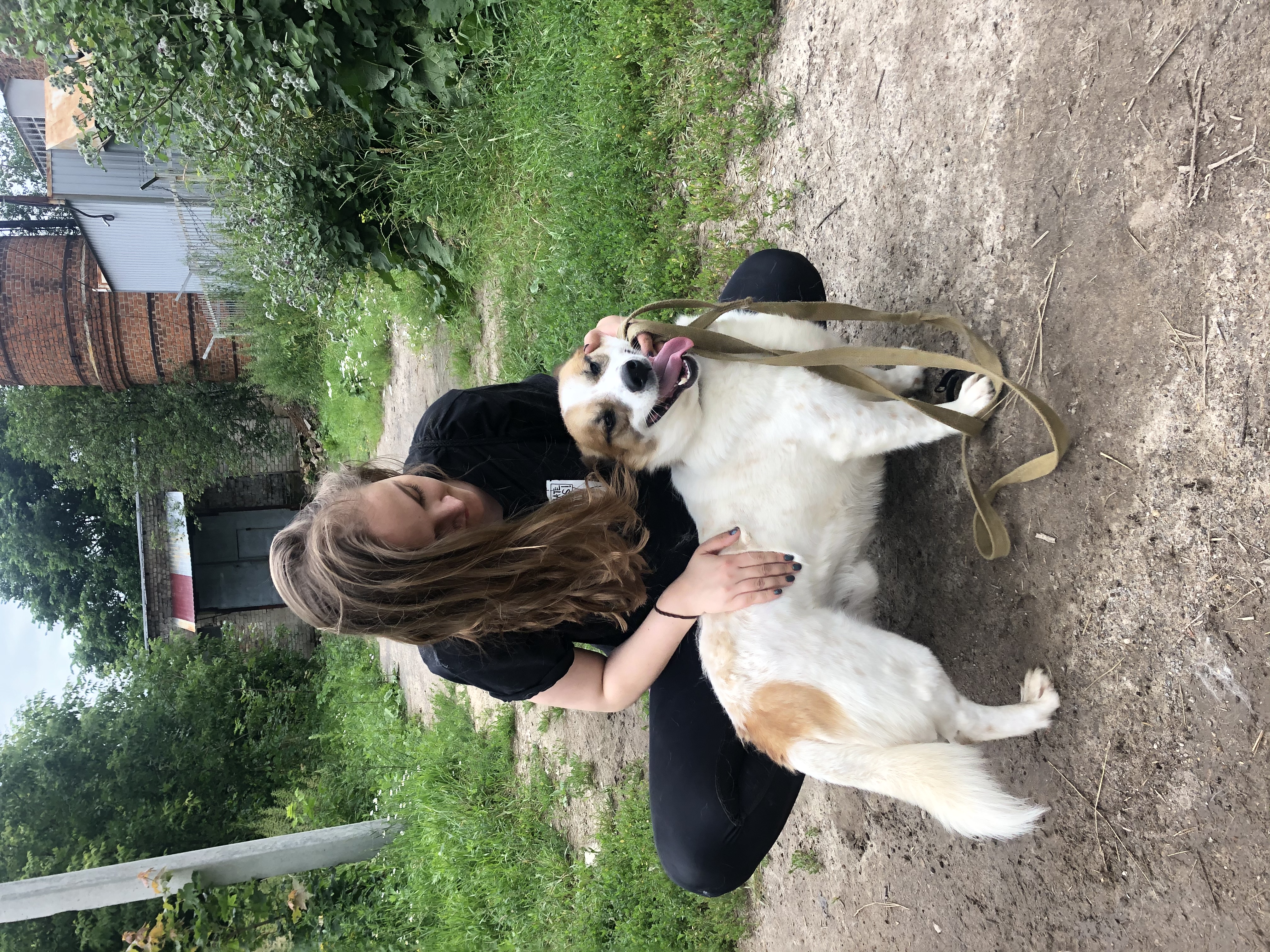 image-9