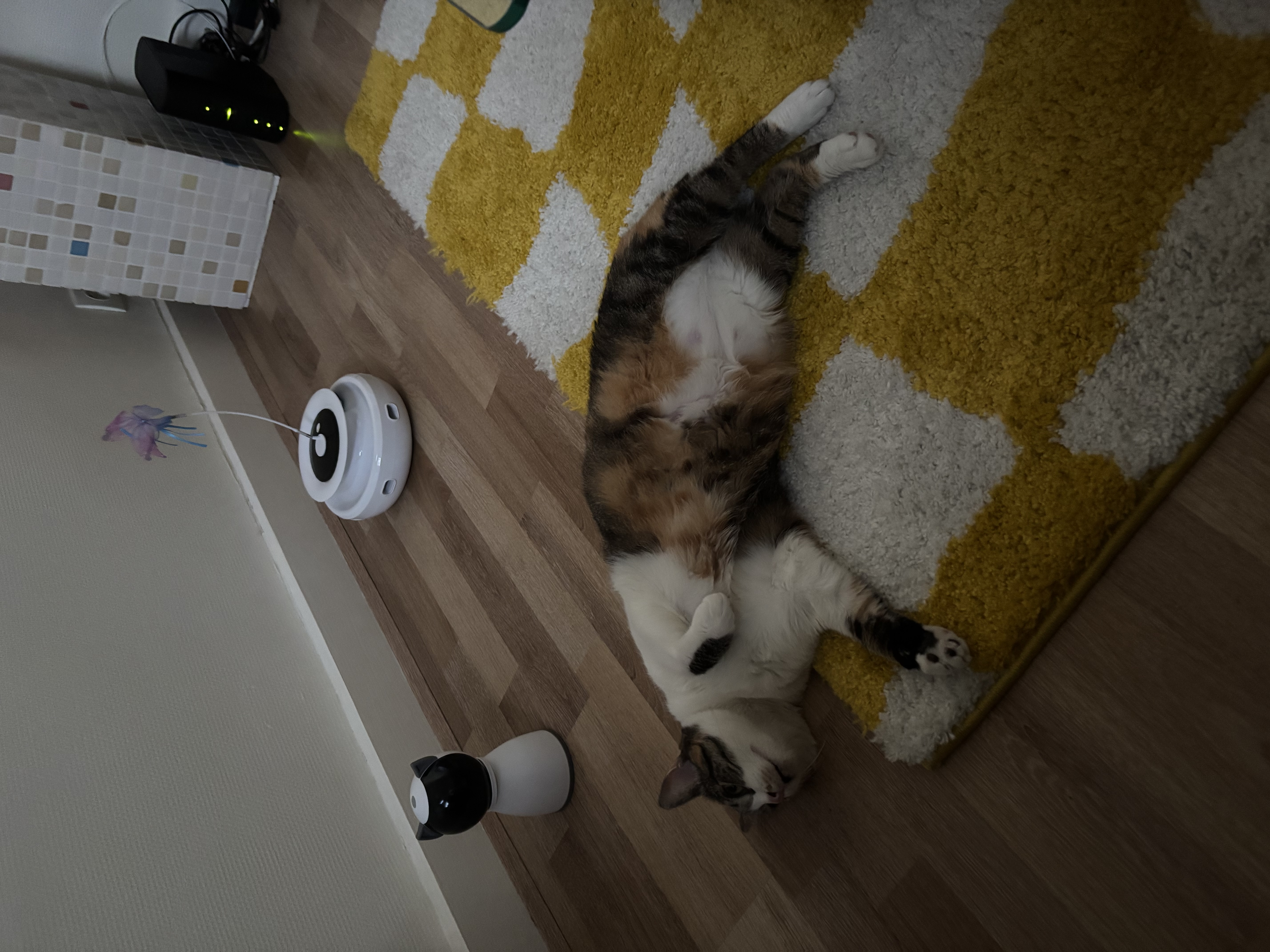 image-16