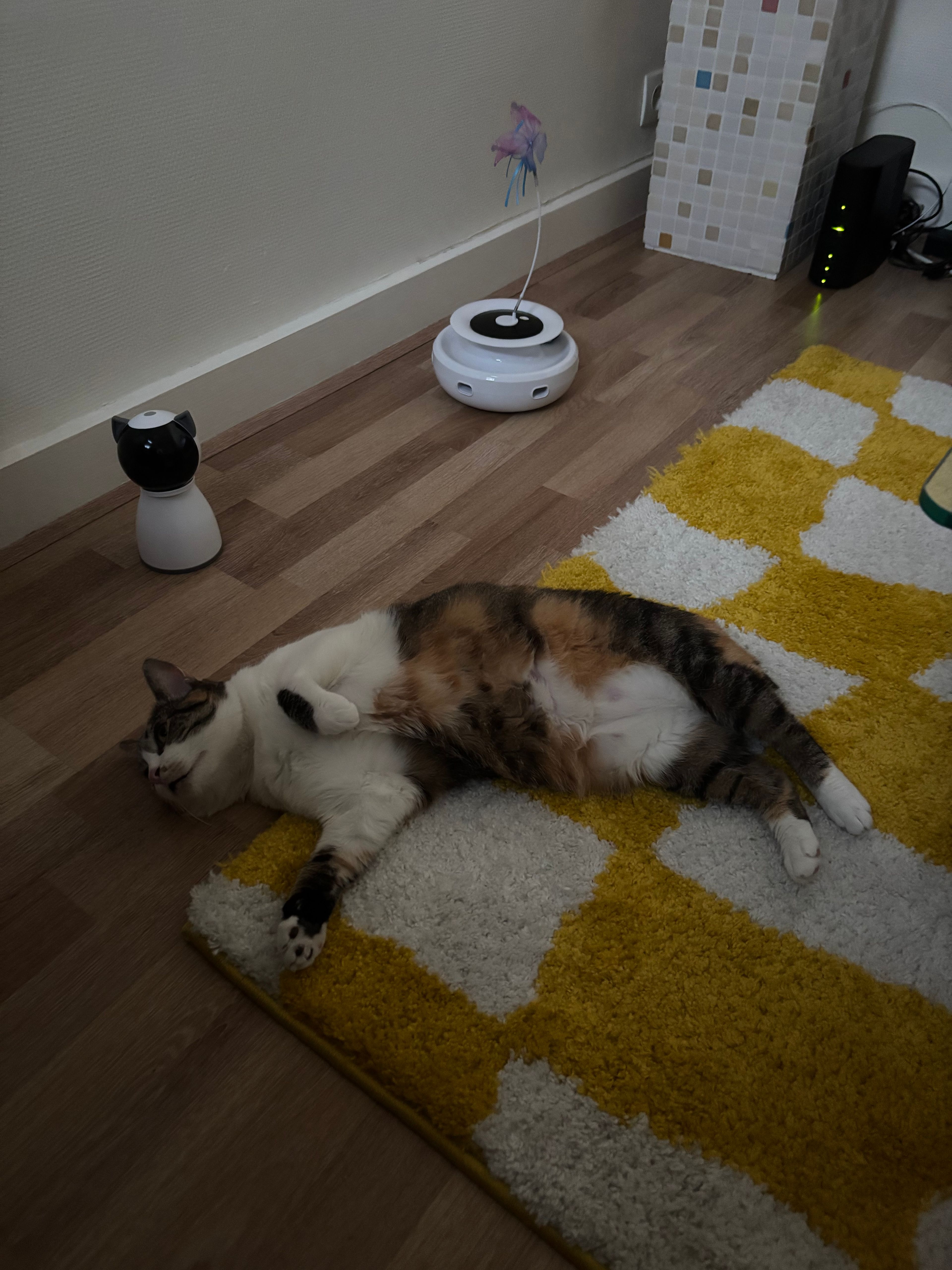 image-16
