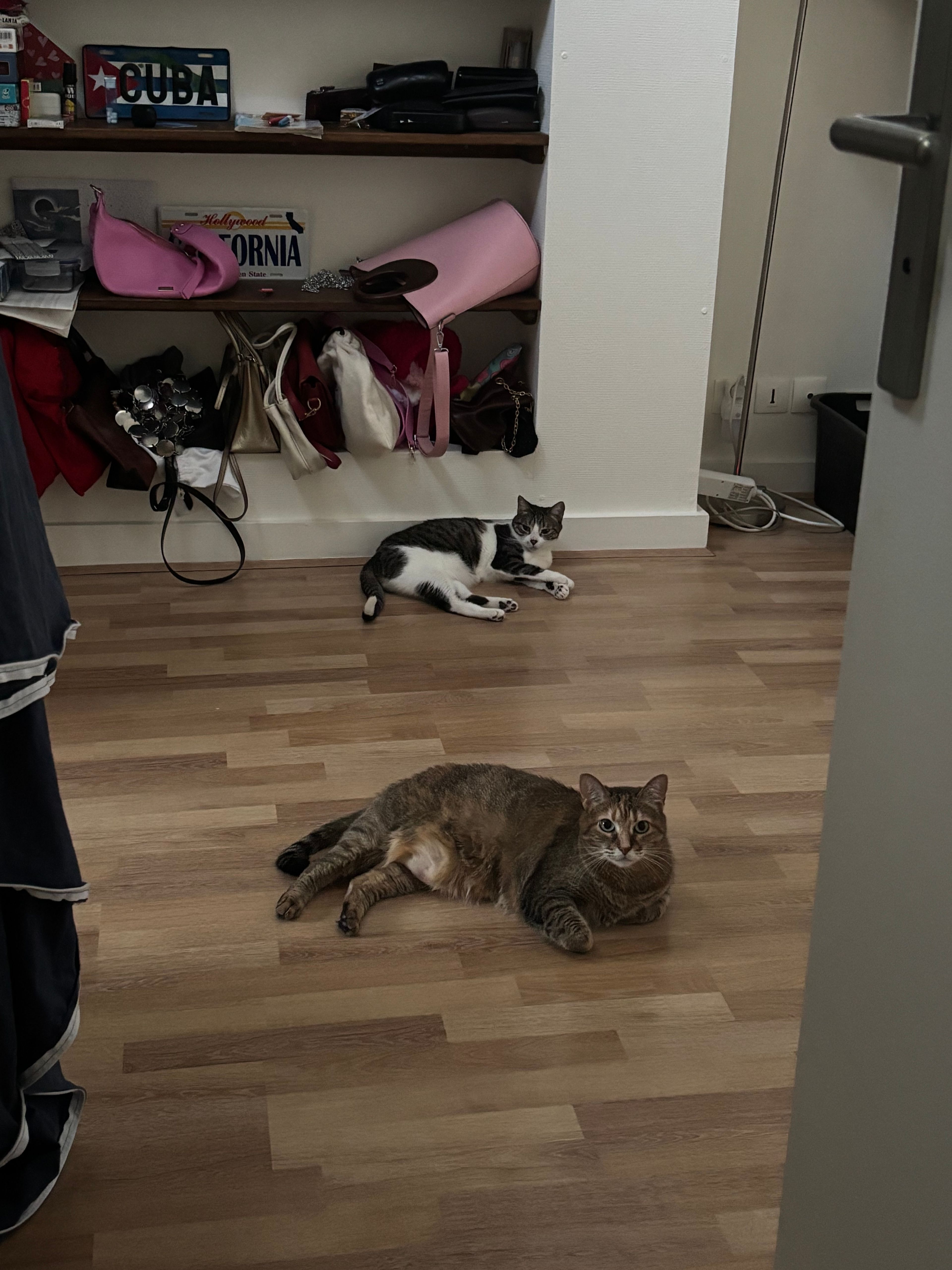 image-15