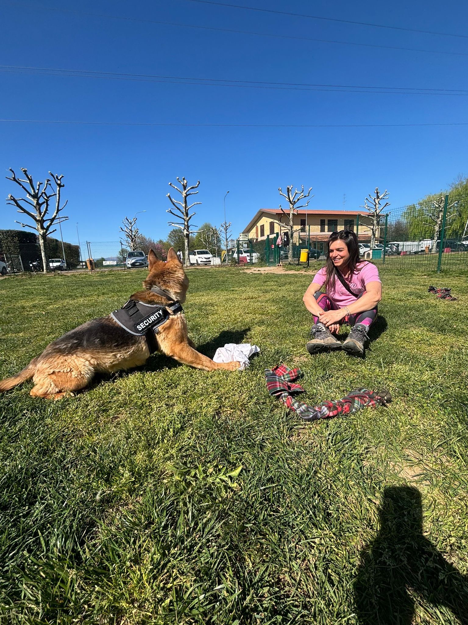 image-6