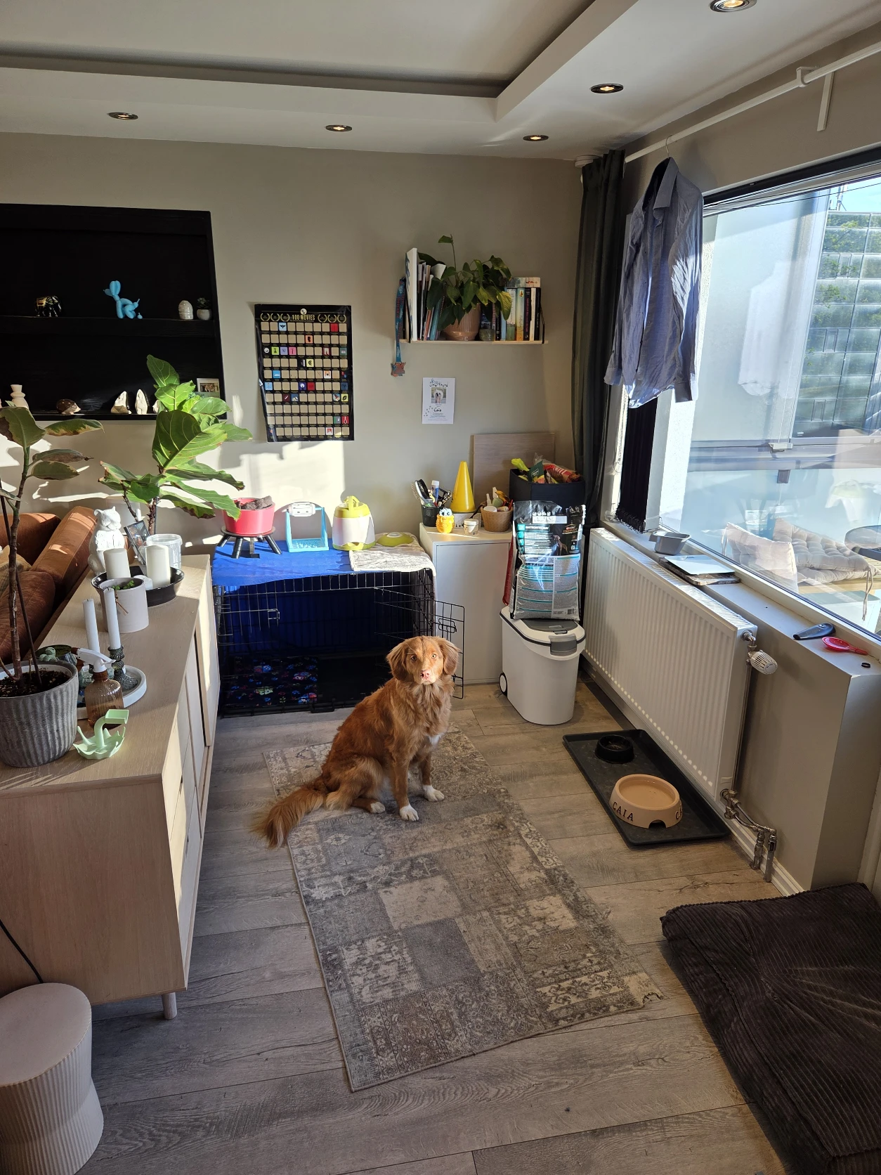 image-16